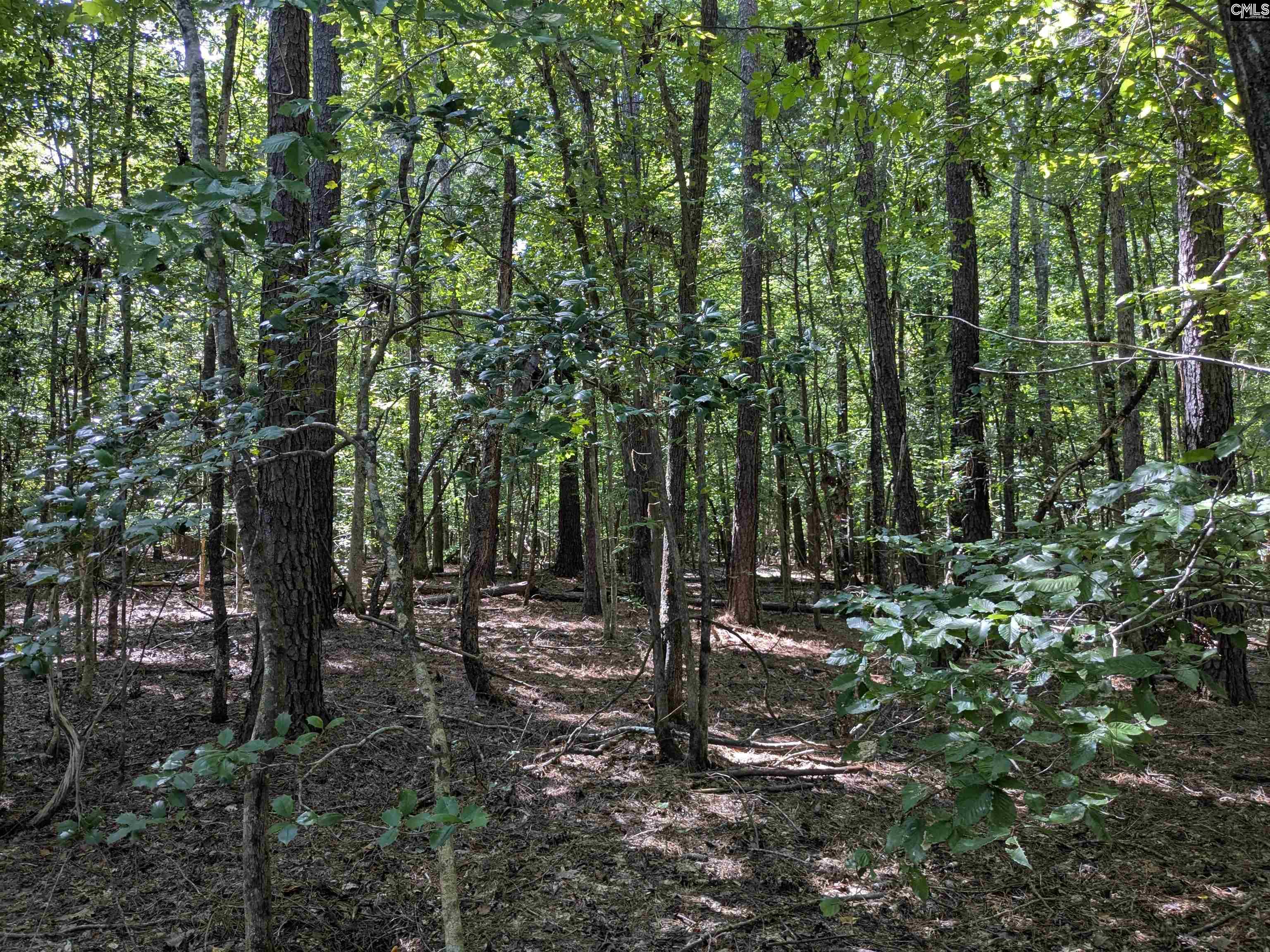 0 Taylor Road Batesburg, SC 29006 - Photo 11 of 20