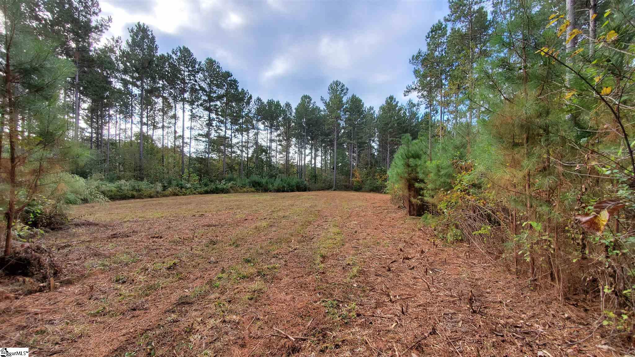 Blue Valley Road Westminster, SC 29693 - Photo 6 of 13 Gallery Image 6