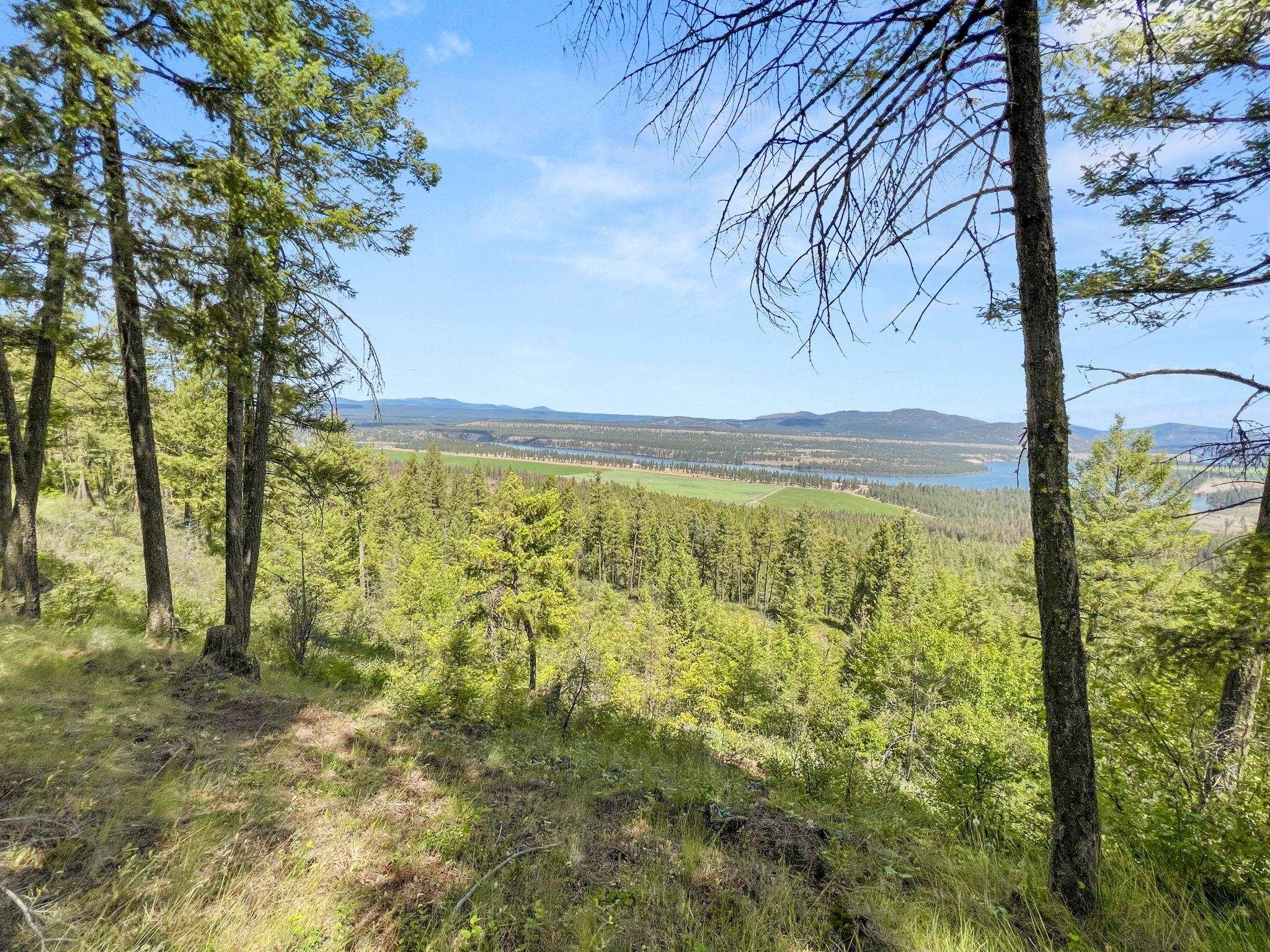 0 West Highland Road Ford, WA 99013 - Photo 22 of 41