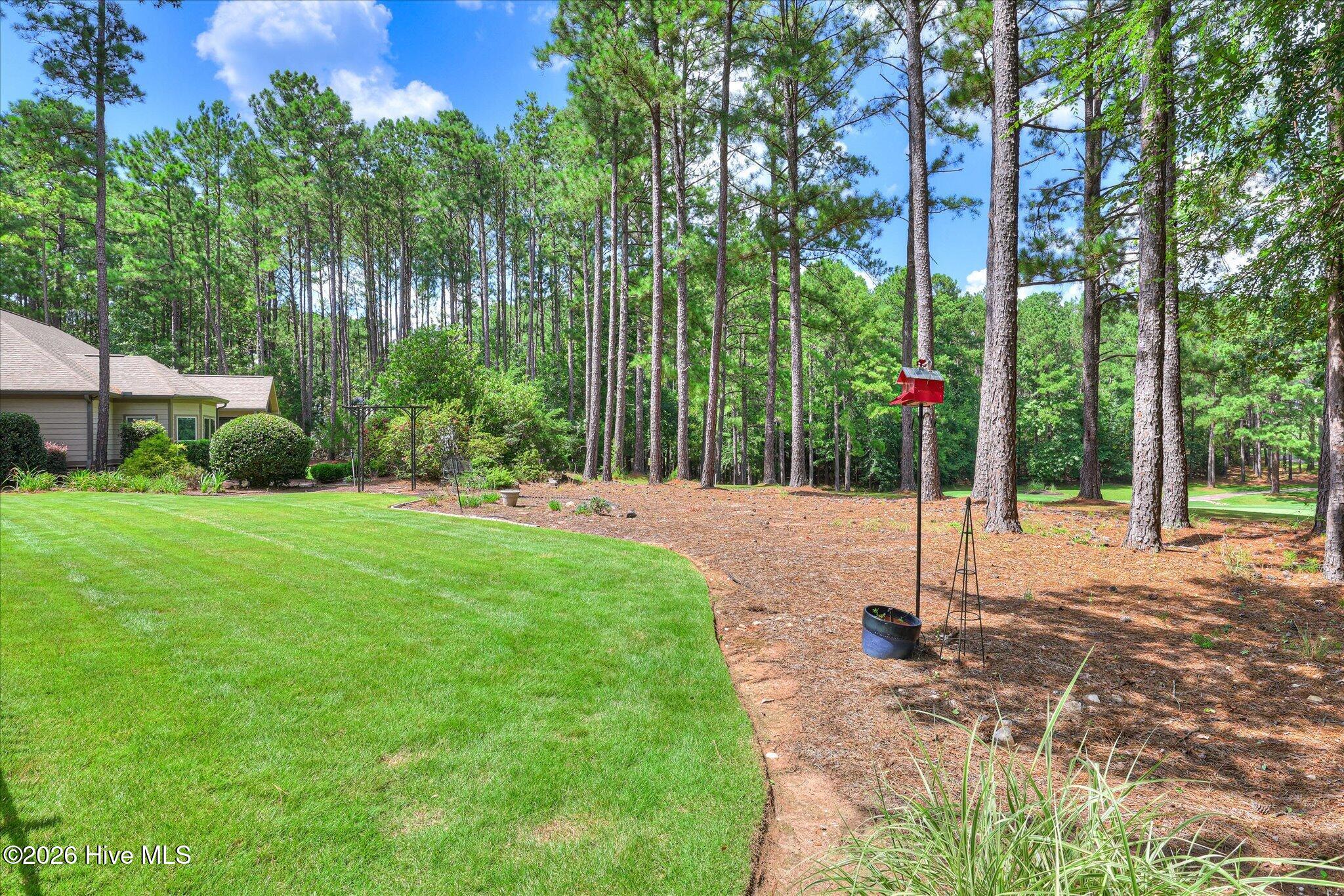 202 Bush Court McCormick, SC 29835 - Photo 51 of 67 Gallery Image 51
