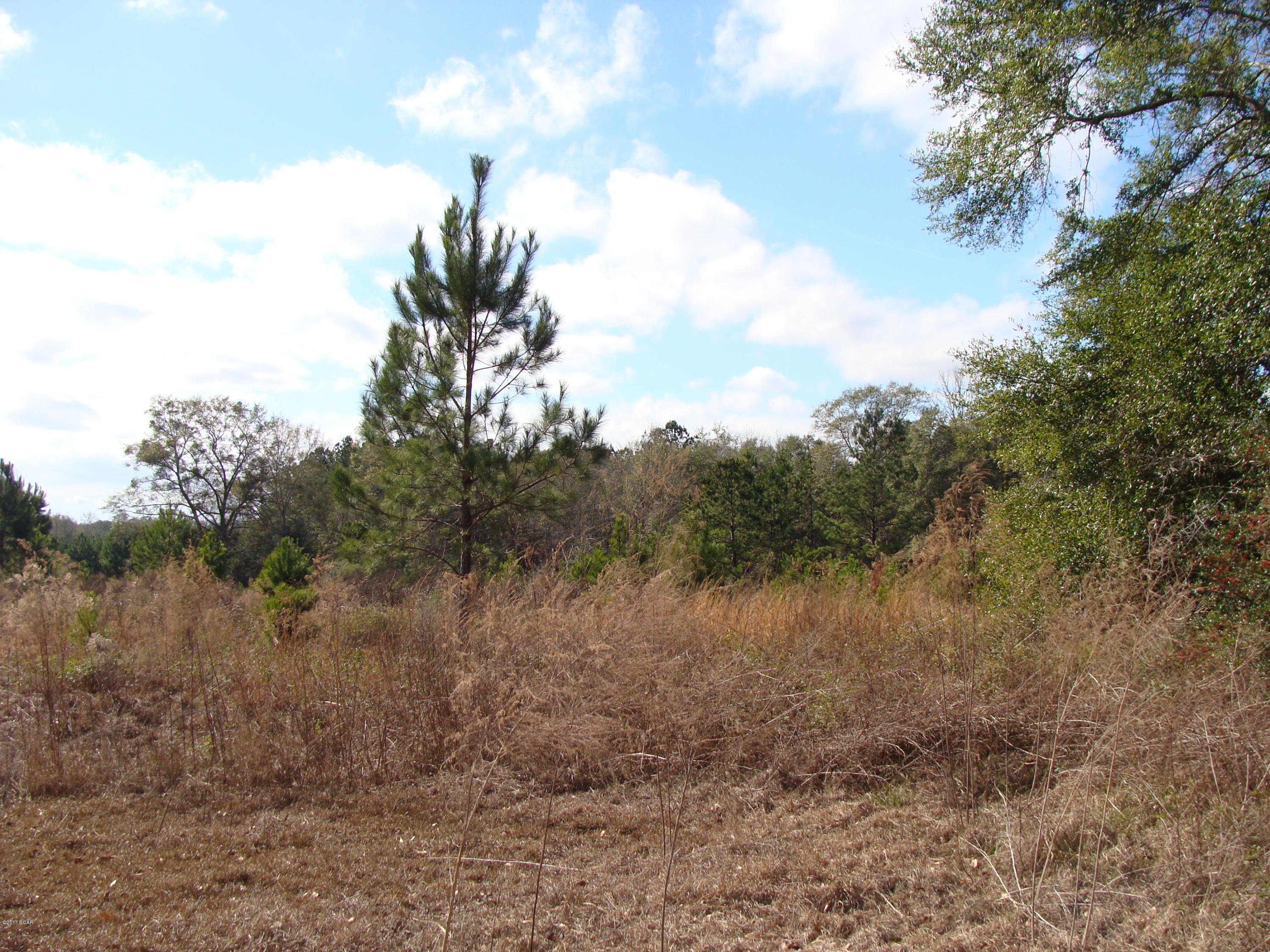 3032 Sylvania Road Vernon, FL 32462 - Photo 3 of 9 Gallery Image 3