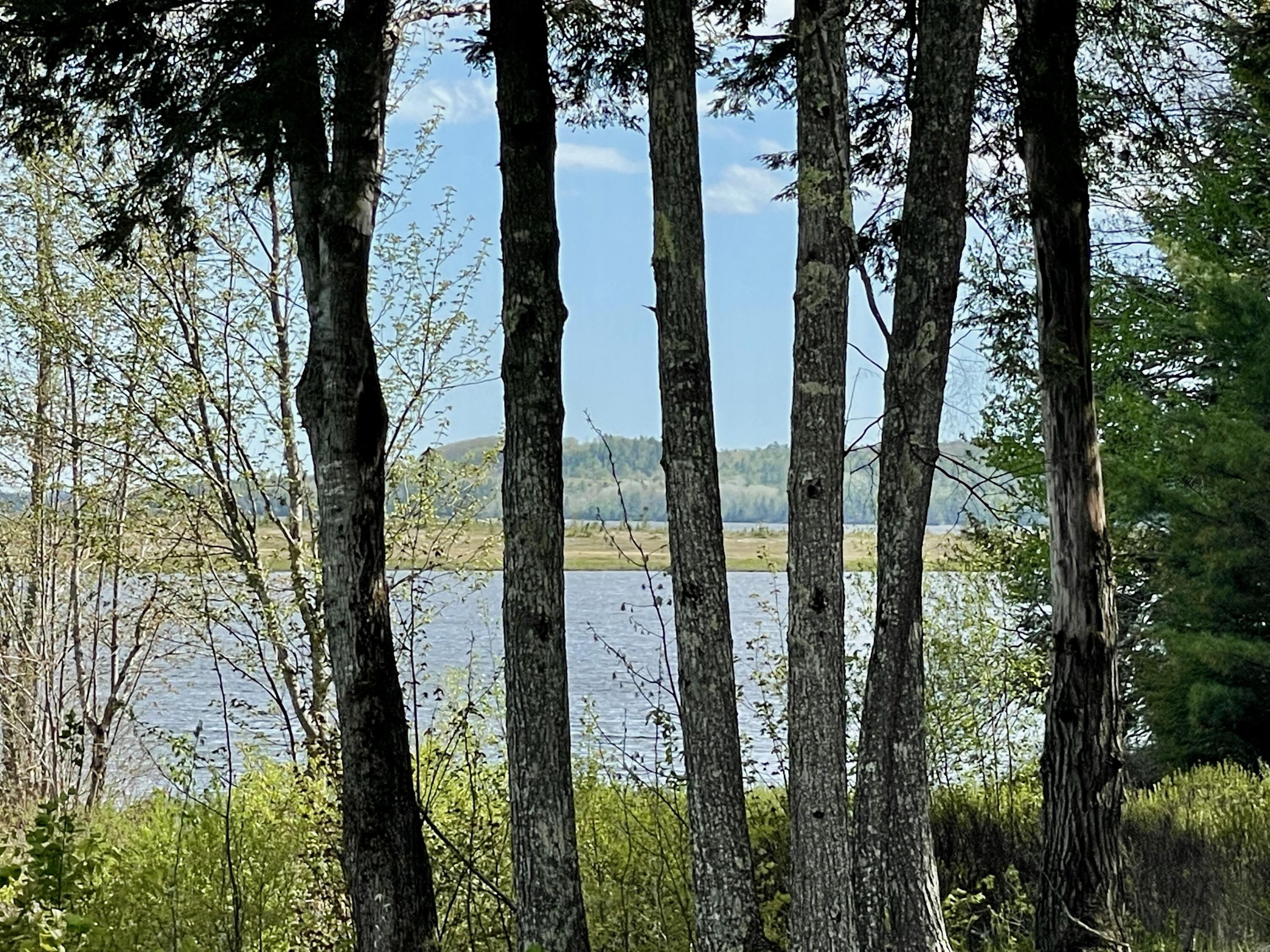 102 Whitmore Road Ellsworth, ME 04605 - Photo 80 of 100 IMG_6020