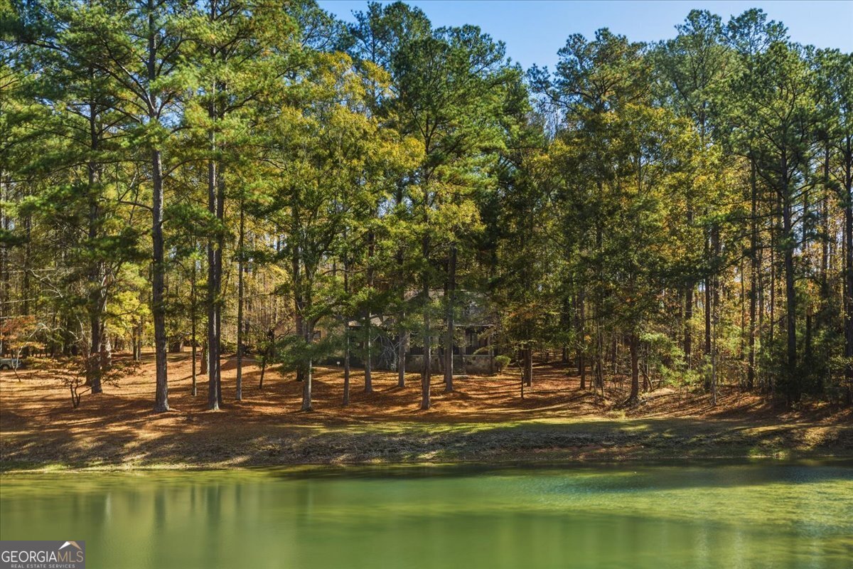 590 South New Salem Road Griffin, GA 30223 - Photo 33 of 52 a view of water with trees