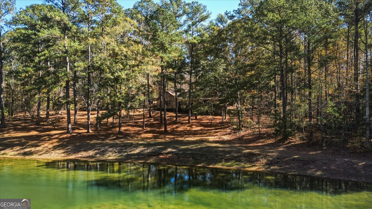 590 South New Salem Road Griffin, GA 30223 - Photo 45 of 52 a view of a lake with houses