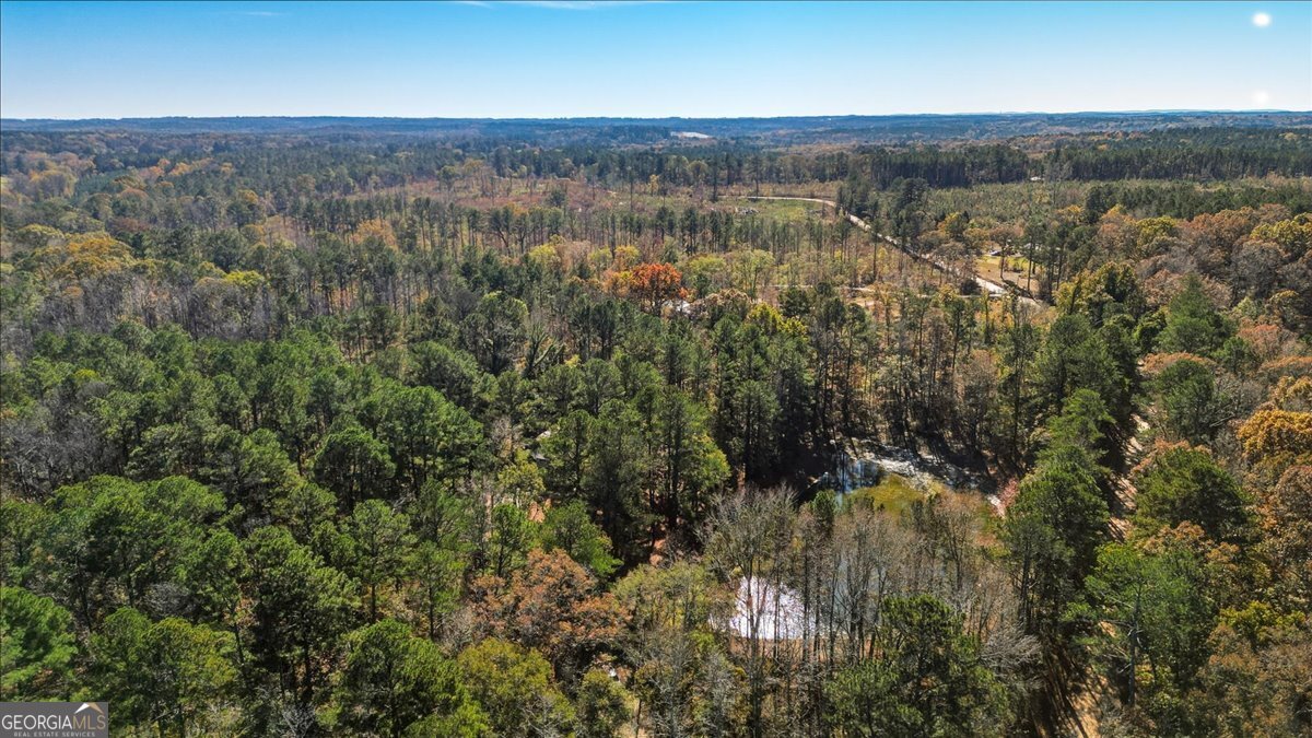 590 South New Salem Road Griffin, GA 30223 - Photo 51 of 52 an aerial view of mountain with trees