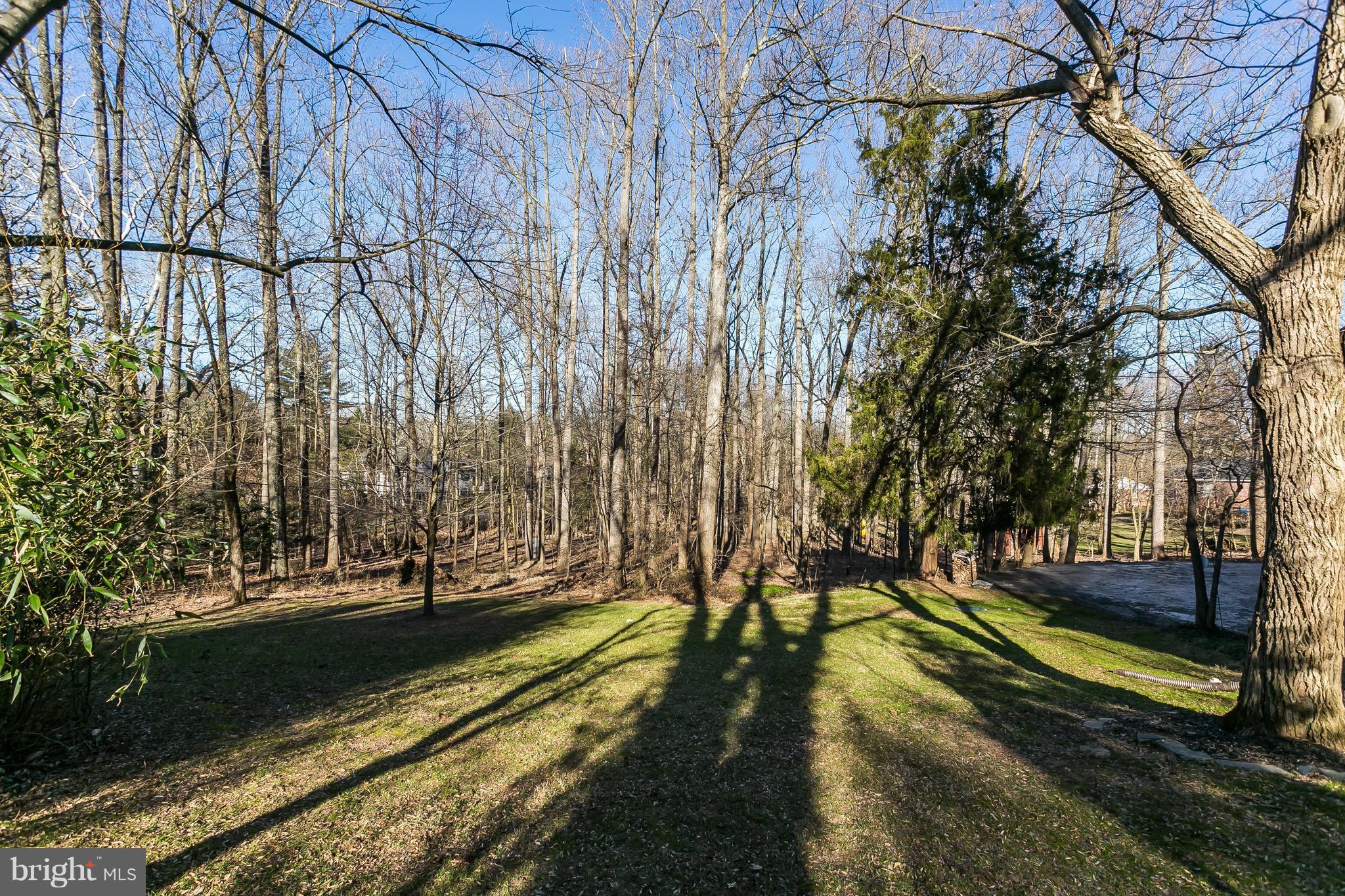 1316 Doves Cove Road Towson, MD 21286 - Photo 29 of 30 Just a touch of Paradise