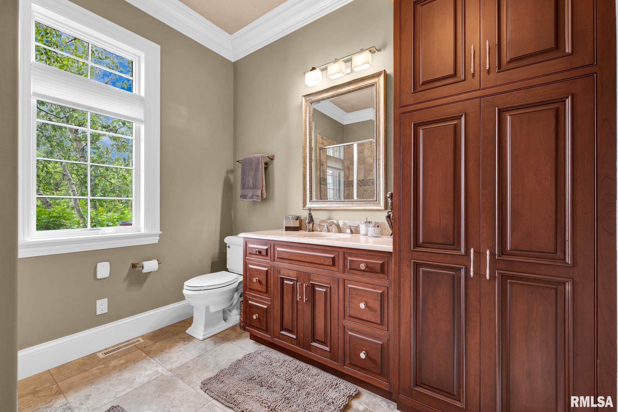 12925 Woodland Ridge Drive Dunlap, IL 61525 - Photo 51 of 100