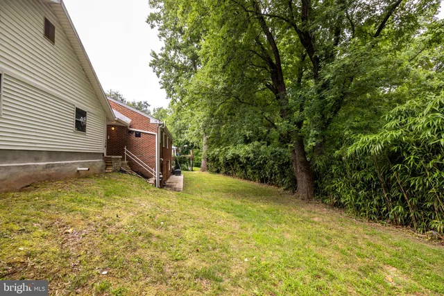 a view of a backyard with a tree