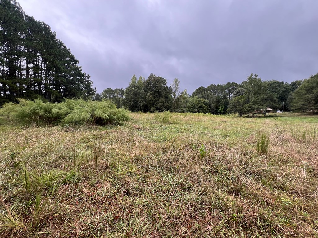 759 Carbondale Road Southwest Dalton, GA 30721 - Photo 19 of 22 Gallery Image 19