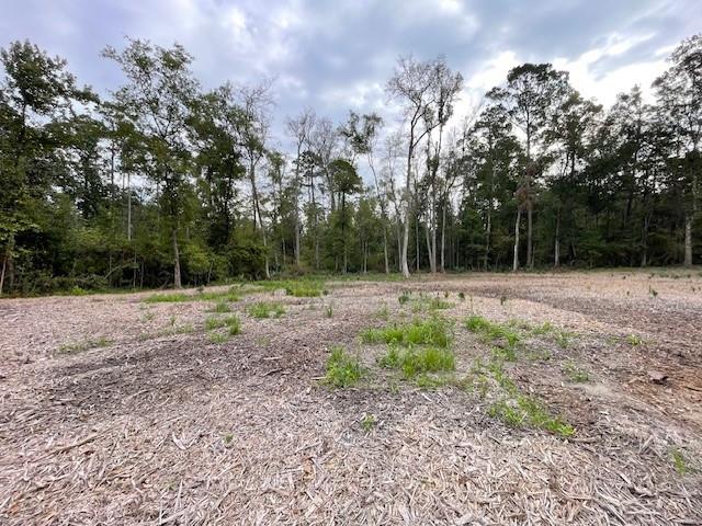 39092 Keaghey Road Ponchatoula, LA 70454 - Photo 4 of 6