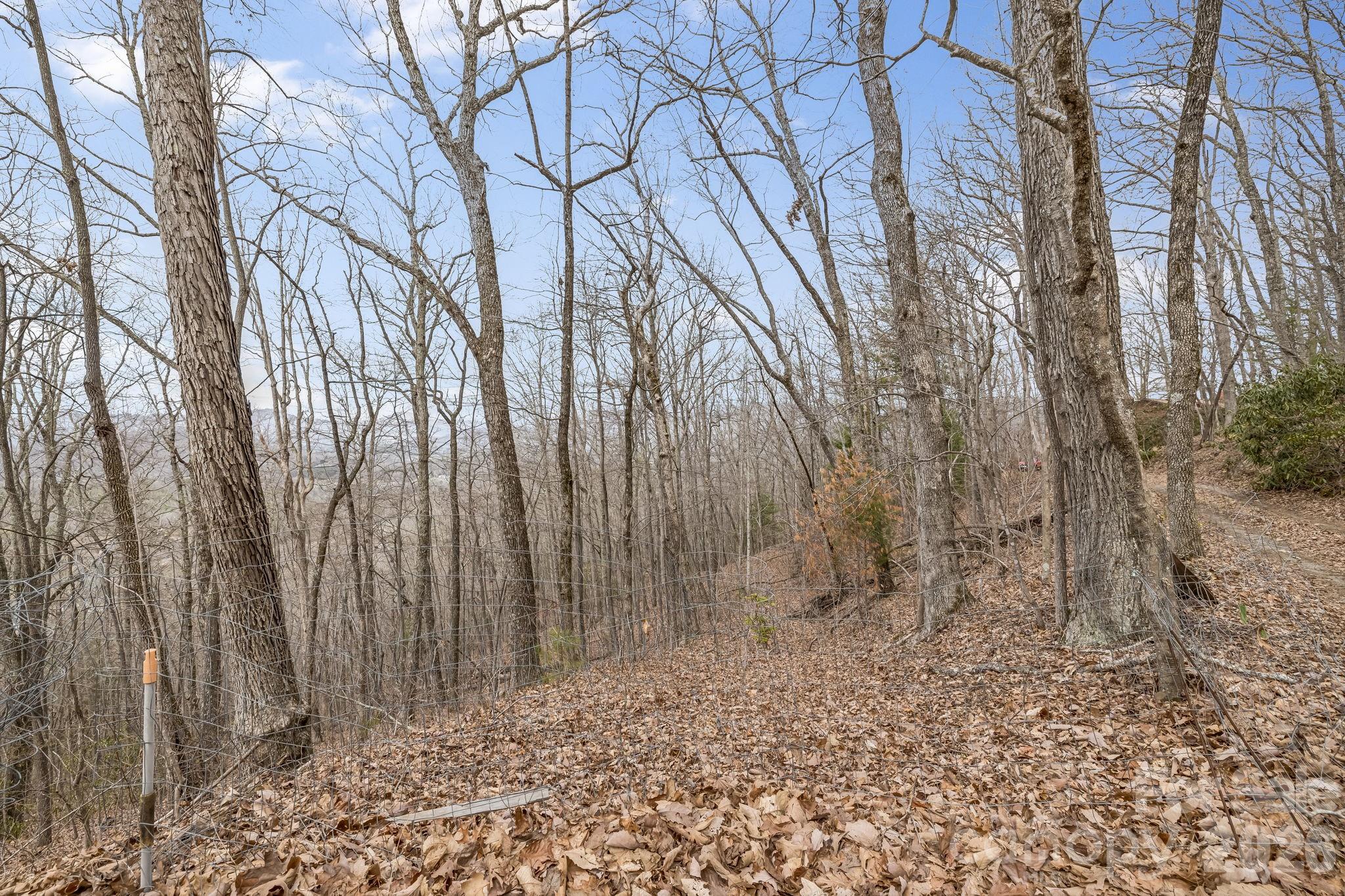 99999 Oak Ridge Road Swannanoa, NC 28778 - Photo 11 of 26
