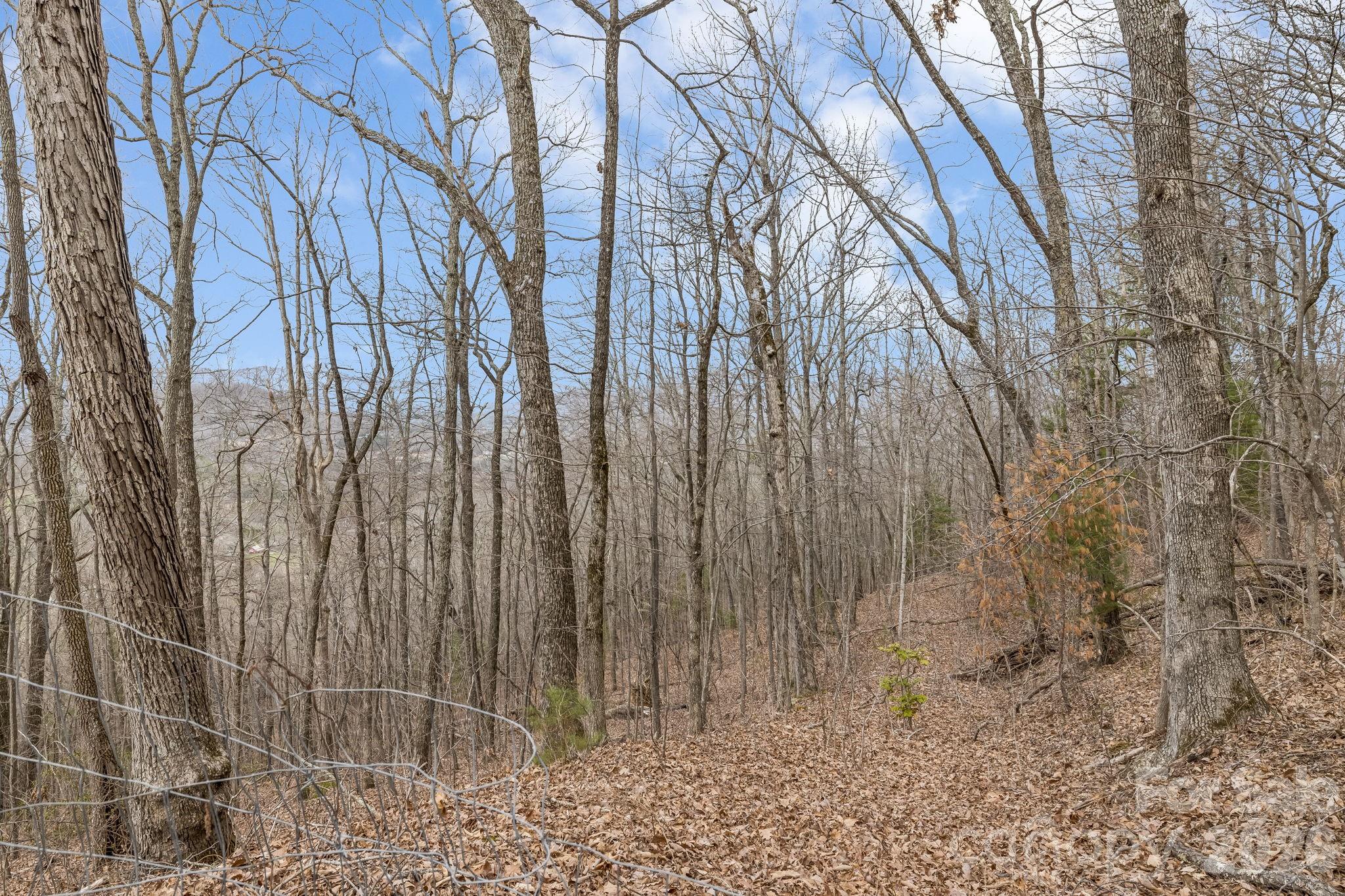 99999 Oak Ridge Road Swannanoa, NC 28778 - Photo 12 of 26