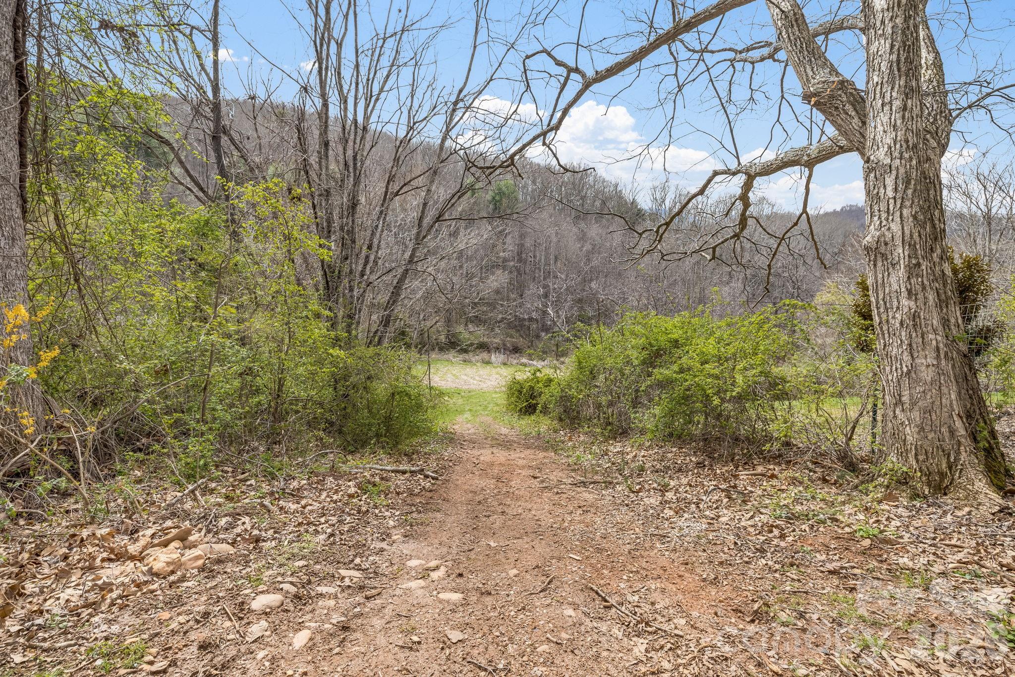 99999 Oak Ridge Road Swannanoa, NC 28778 - Photo 13 of 26