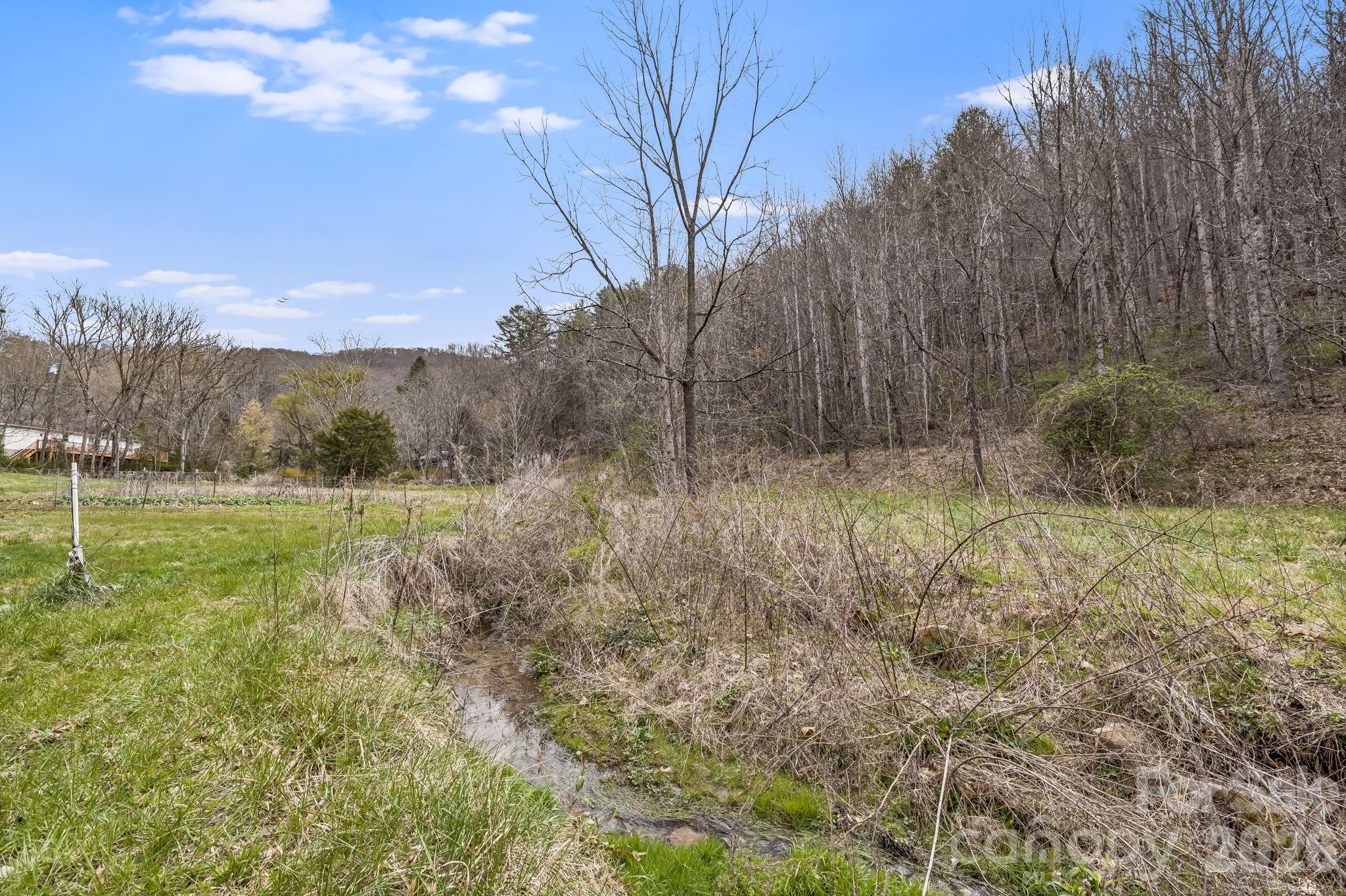 99999 Oak Ridge Road Swannanoa, NC 28778 - Photo 14 of 26