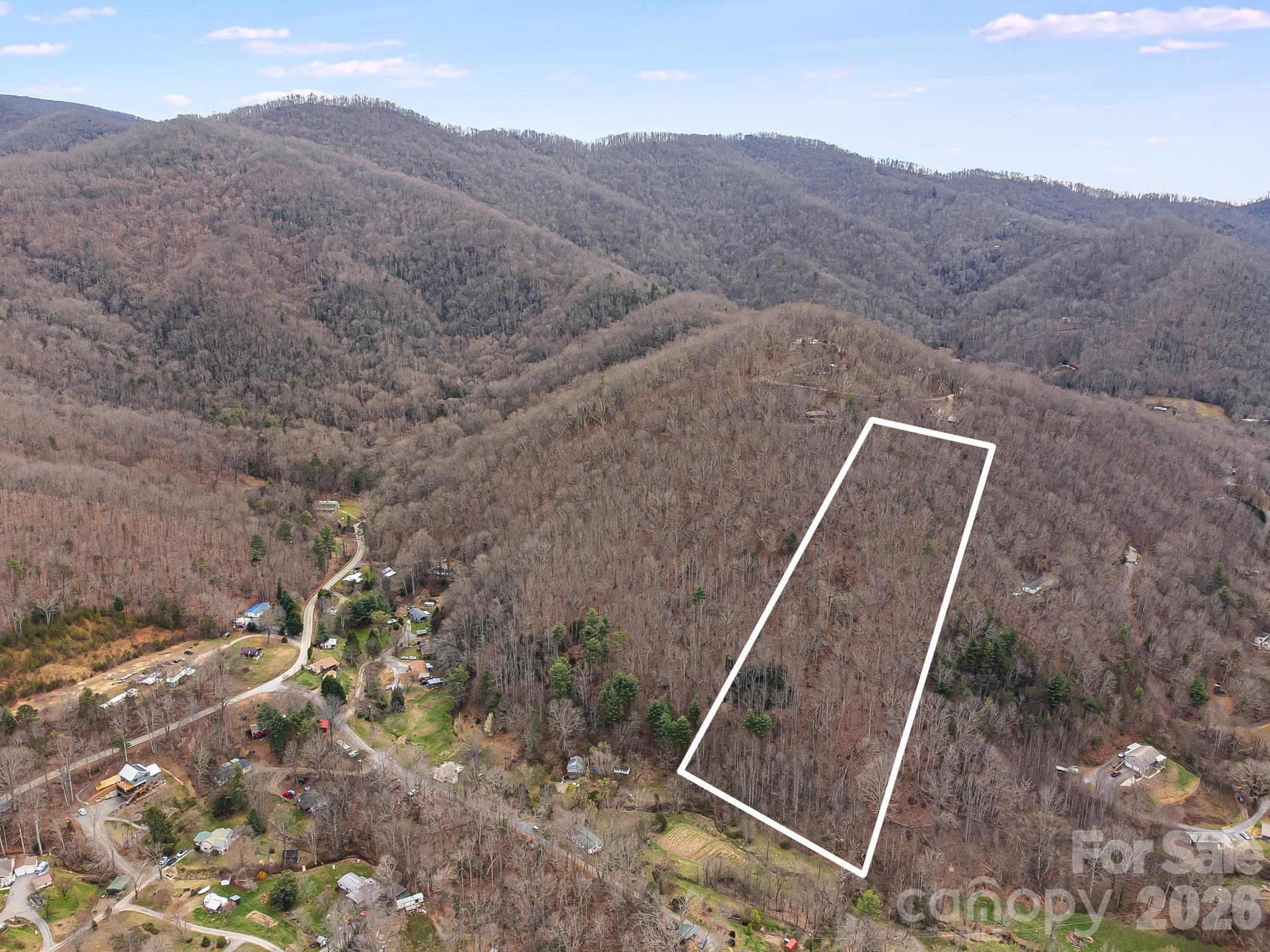 99999 Oak Ridge Road Swannanoa, NC 28778 - Photo 2 of 26