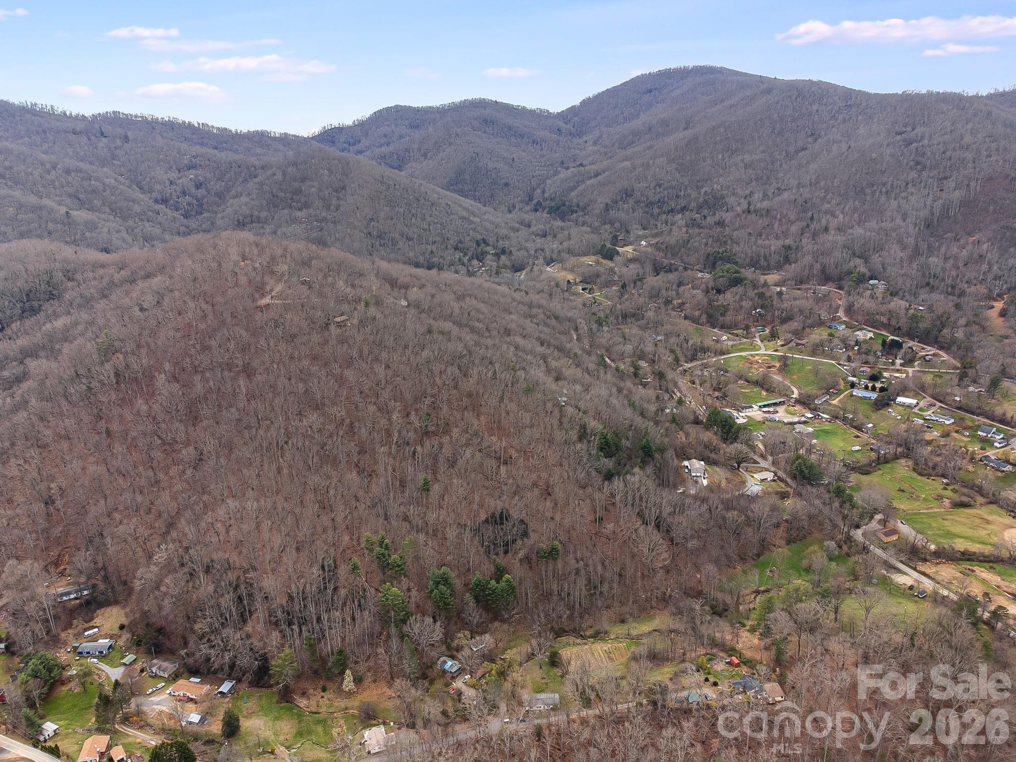 99999 Oak Ridge Road Swannanoa, NC 28778 - Photo 22 of 26