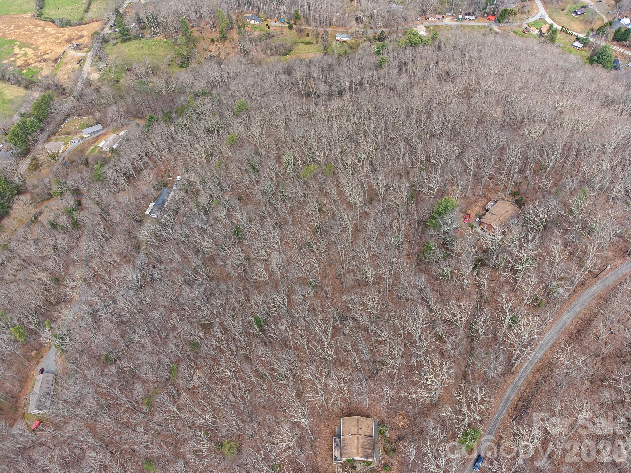 99999 Oak Ridge Road Swannanoa, NC 28778 - Photo 25 of 26