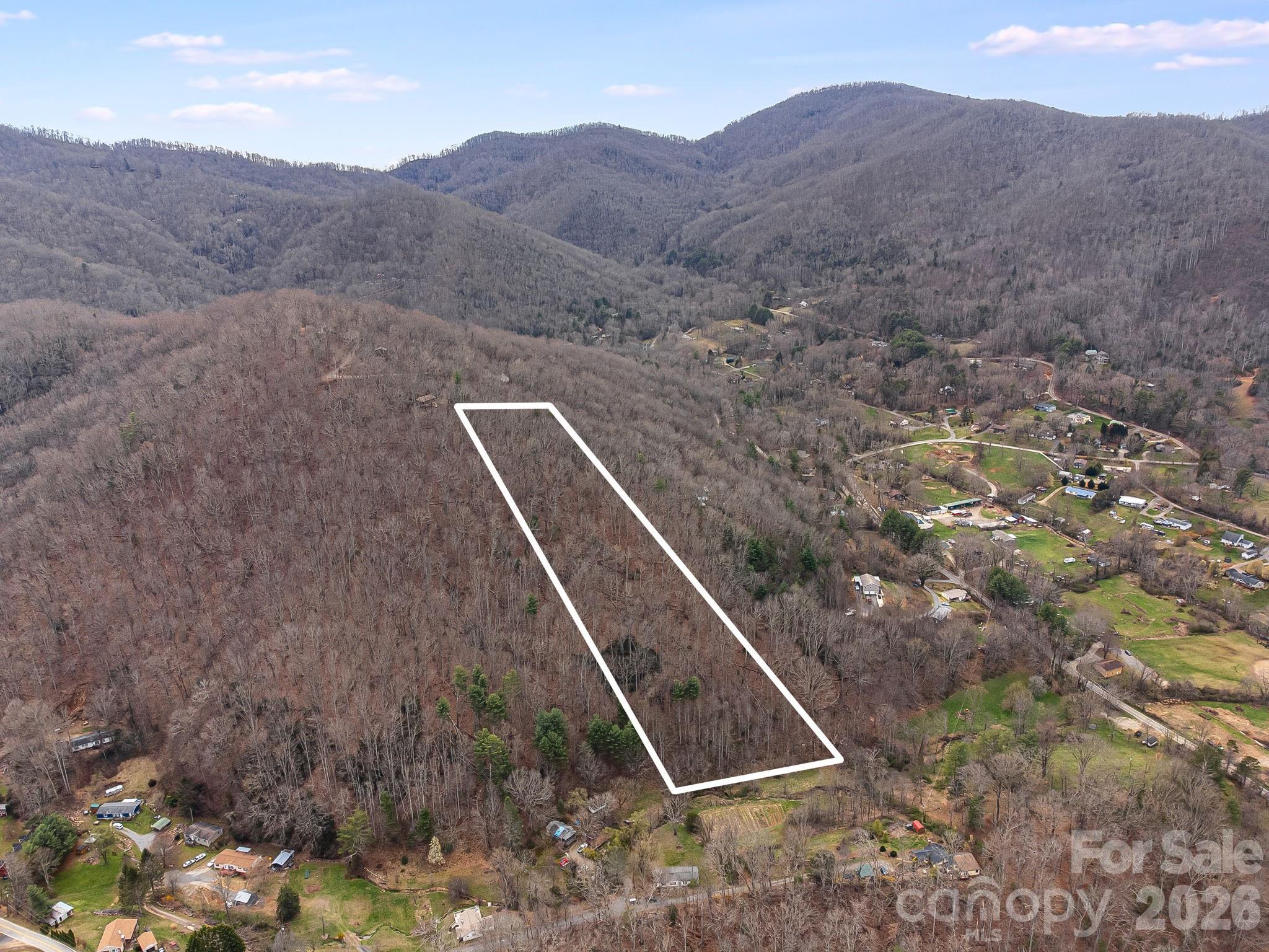 99999 Oak Ridge Road Swannanoa, NC 28778 - Photo 4 of 26
