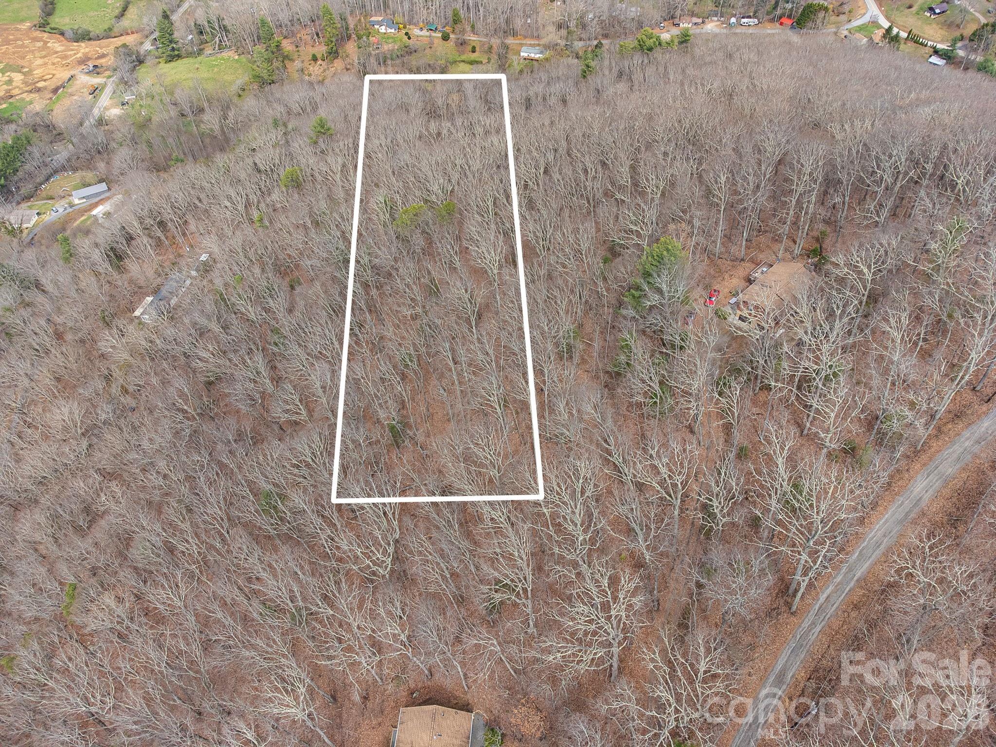 99999 Oak Ridge Road Swannanoa, NC 28778 - Photo 8 of 26