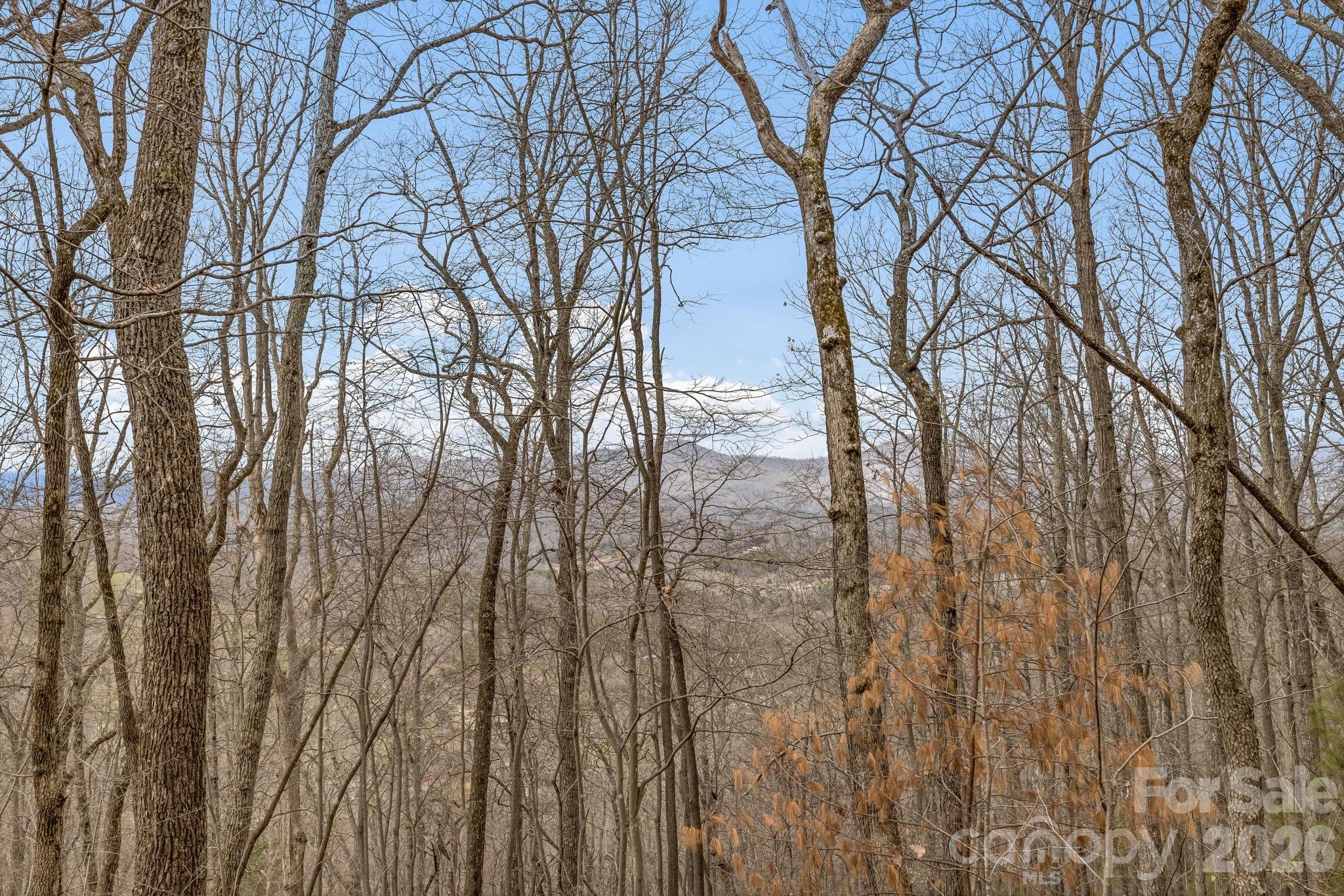 99999 Oak Ridge Road Swannanoa, NC 28778 - Photo 9 of 26