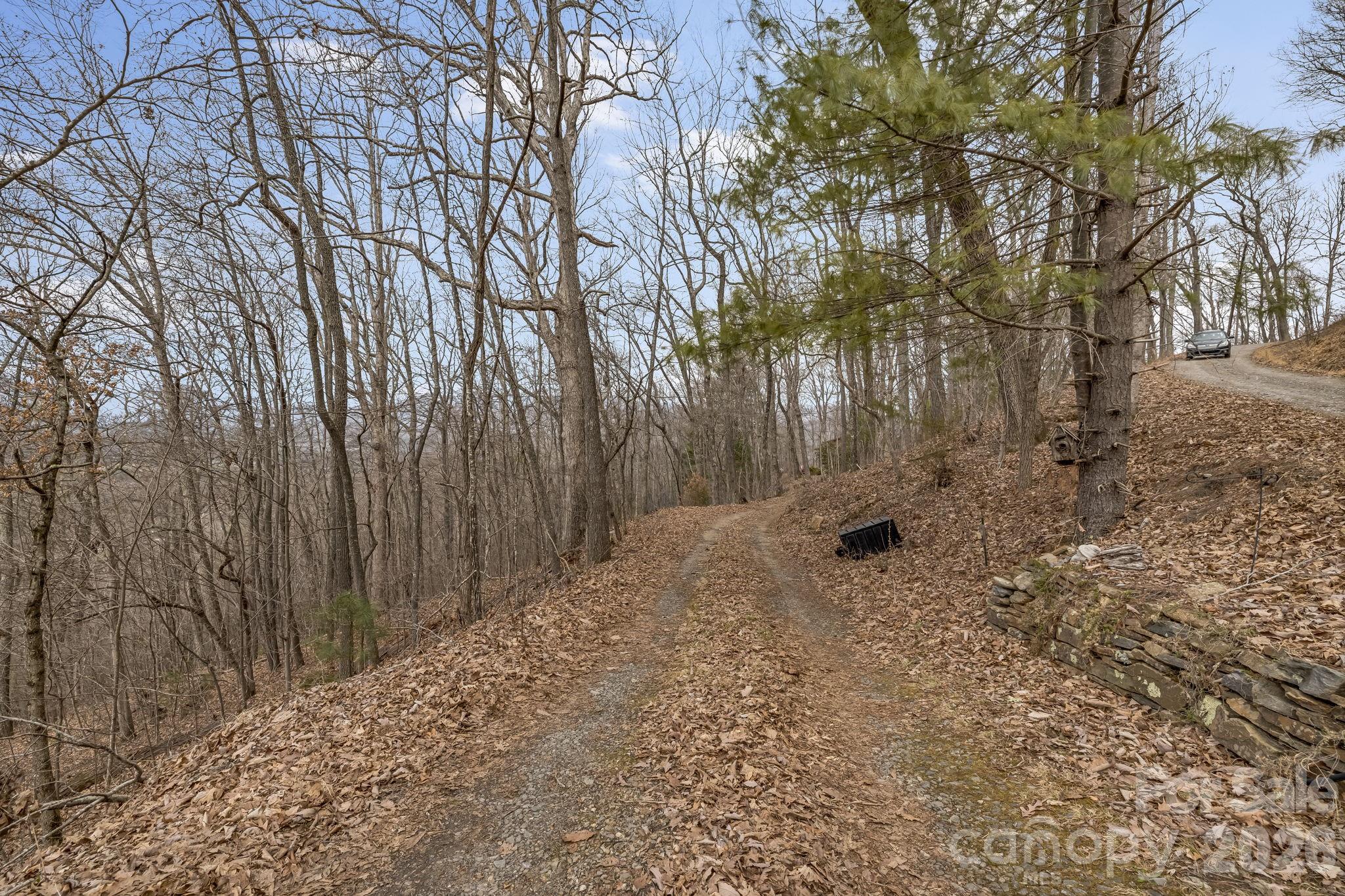 99999 Oak Ridge Road Swannanoa, NC 28778 - Photo 10 of 26