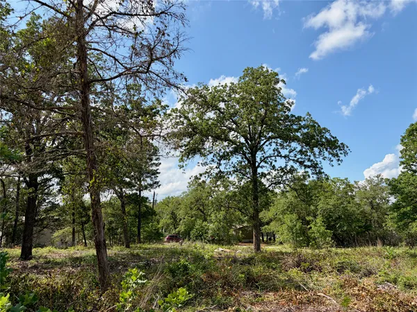 $47,000 | Lots-97-98 Shawnee Drive, Smithville, TX 78957