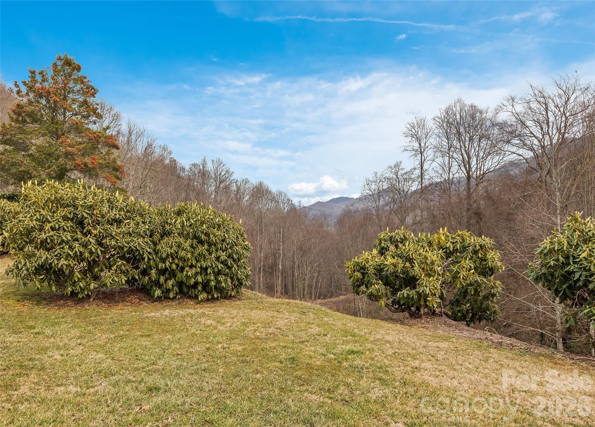 15 Whitted Road Canton, NC 28716 - Photo 3 of 38 a view of a garden