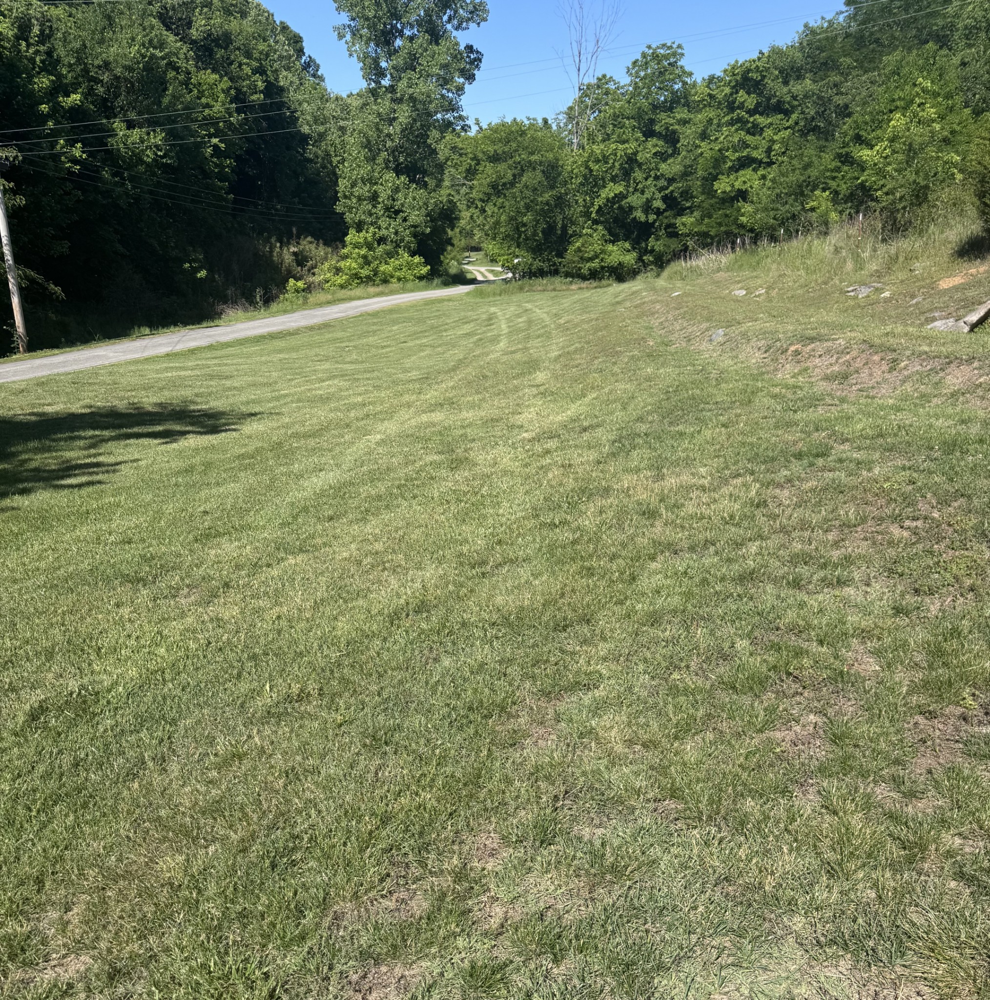67 Conditt Hollow Road Elmwood, TN 38560 - Photo 6 of 15