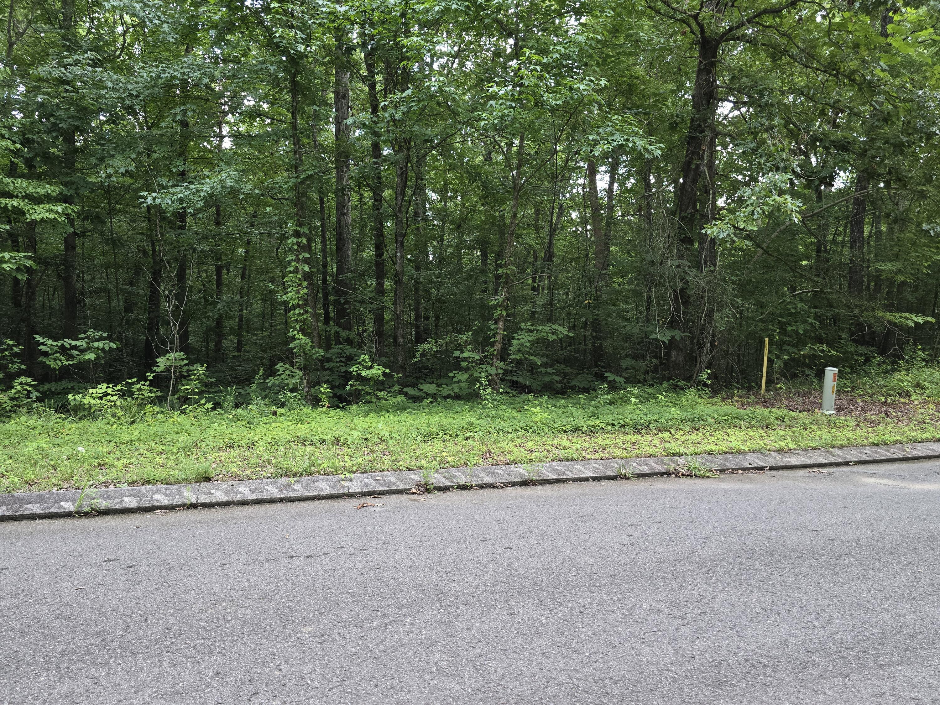 Lot 144 Lower Brow Road Dunlap, TN 37327 - Photo 3 of 6 20260716_155352