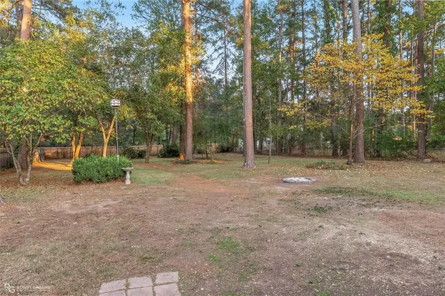 a view of backyard with tree