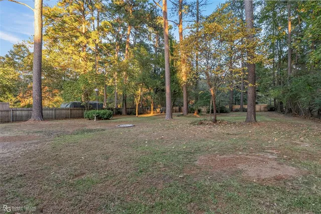 a view of a tree in a park