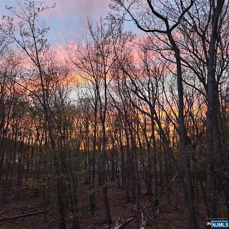 503 Abbe Road Little Falls, NJ 07424 - Photo 11 of 30