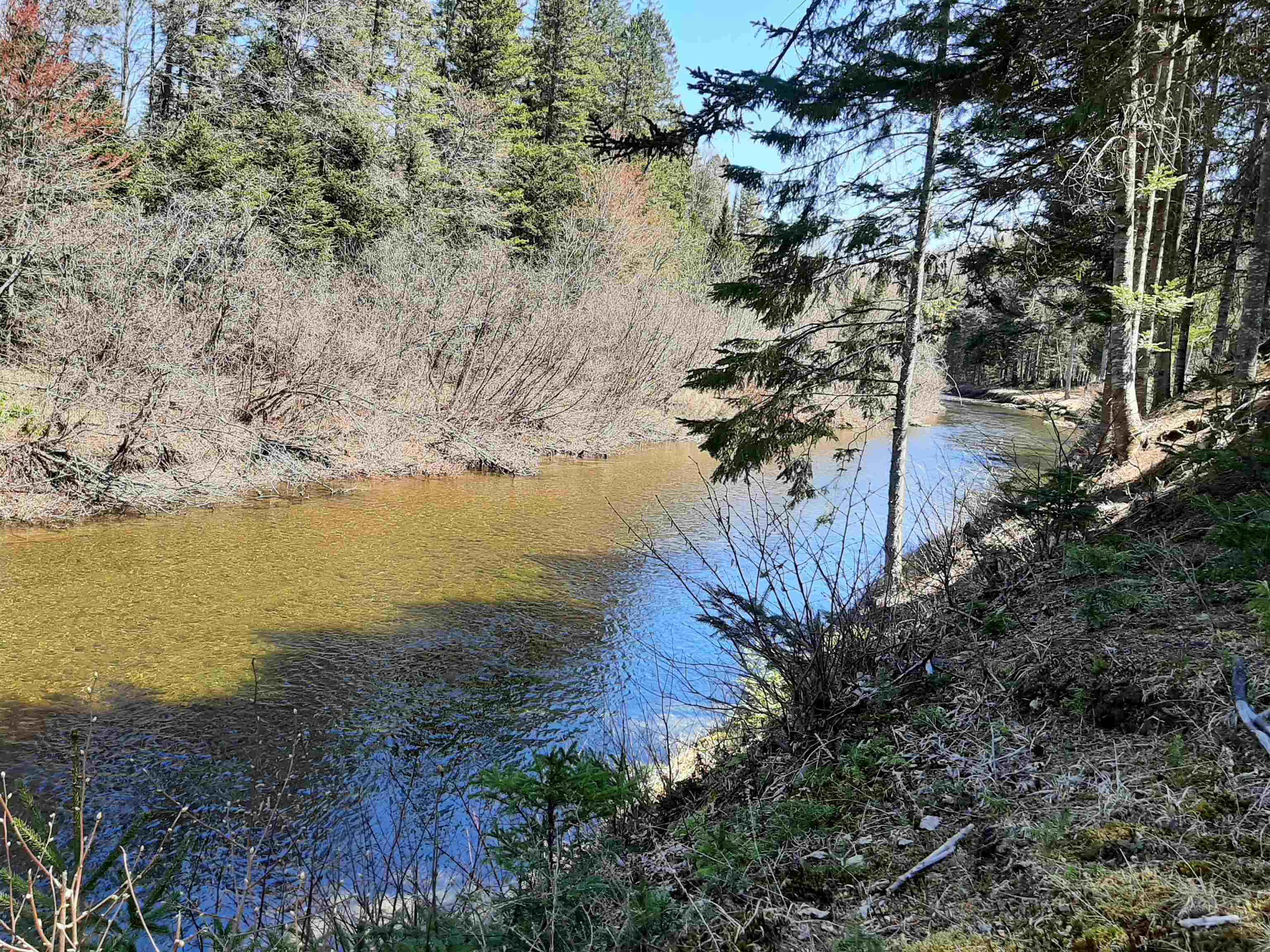 113 Pine Grove Errol, NH 03579 - Photo 2 of 40