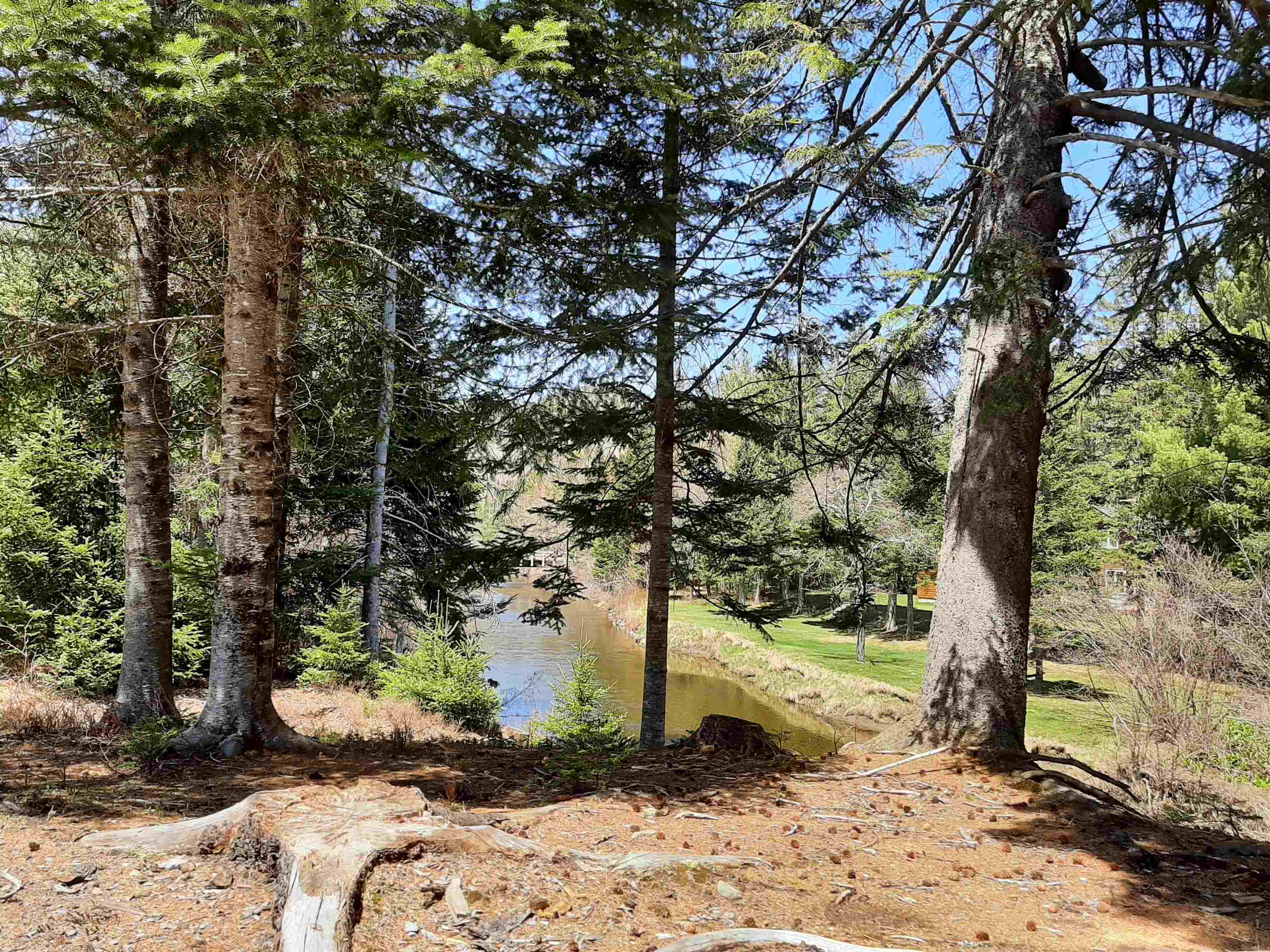 113 Pine Grove Errol, NH 03579 - Photo 5 of 40