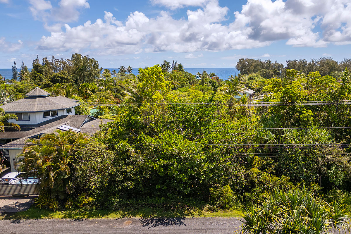 56 Beach Road Keaau, HI 96749 - Photo 28 of 30