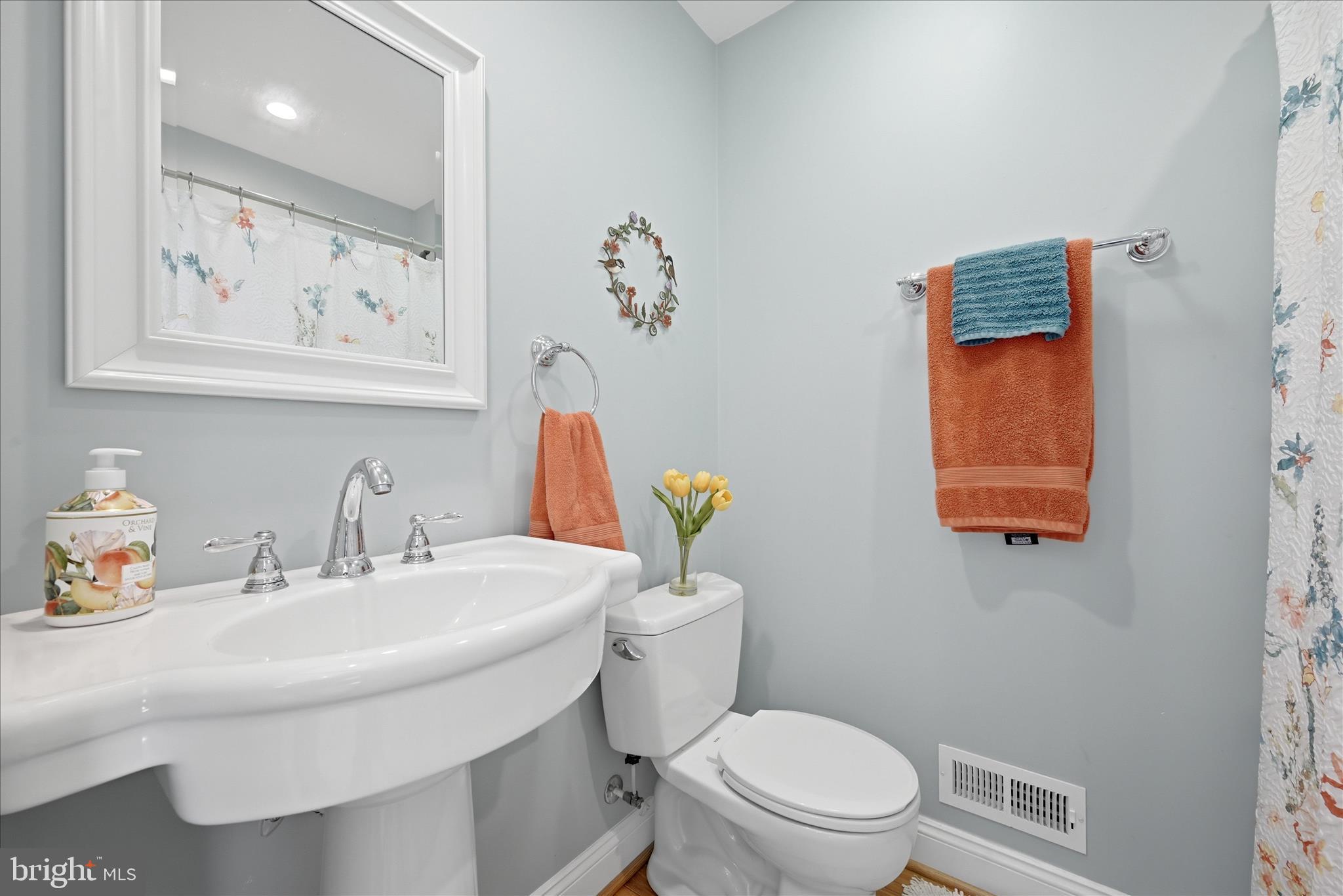 500 Delicious Road Linden, VA 22642 - Photo 17 of 80 a bathroom with a toilet a sink and mirror