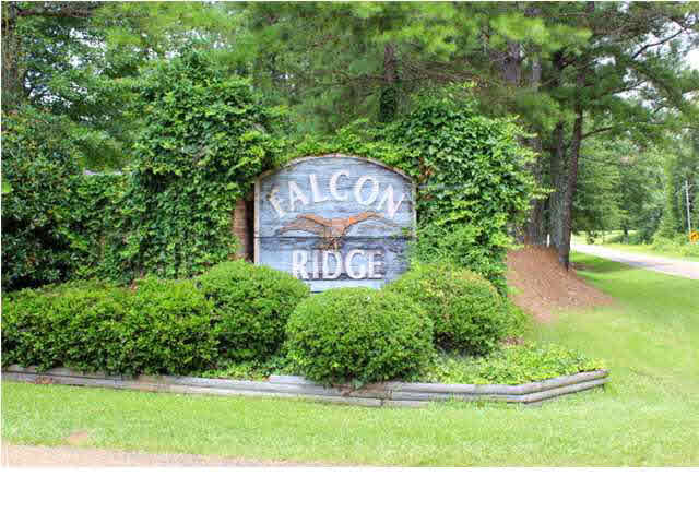 121 Falcon Ridge Drive Raymond, MS 39154 - Photo 47 of 47 Falcon Ridge Subdivision