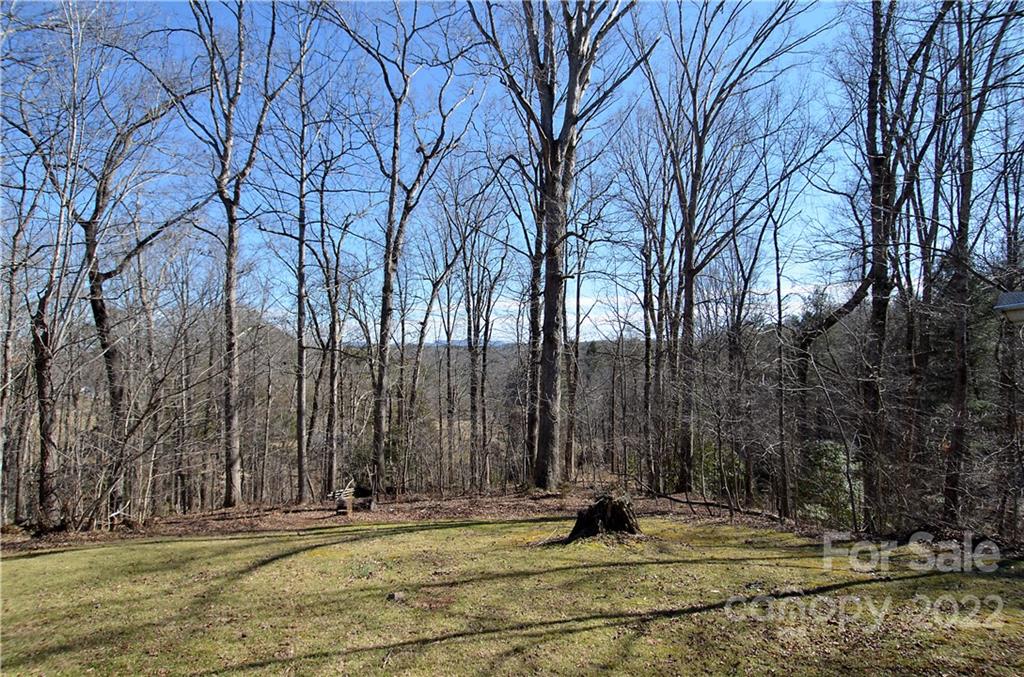 2999 Harmony Grove Road Nebo, NC 28761 - Photo 10 of 21 Gallery Image 10