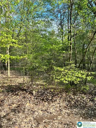$18,000 | 209 Sage Road, Long Pond, PA 18334