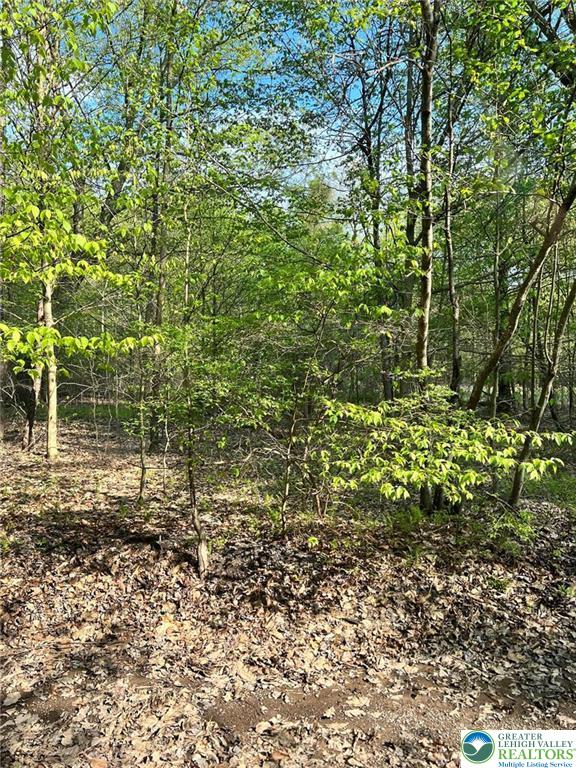 209 Sage Road Long Pond, PA 18334 - Photo 6 of 6 a view of a garden with a bench