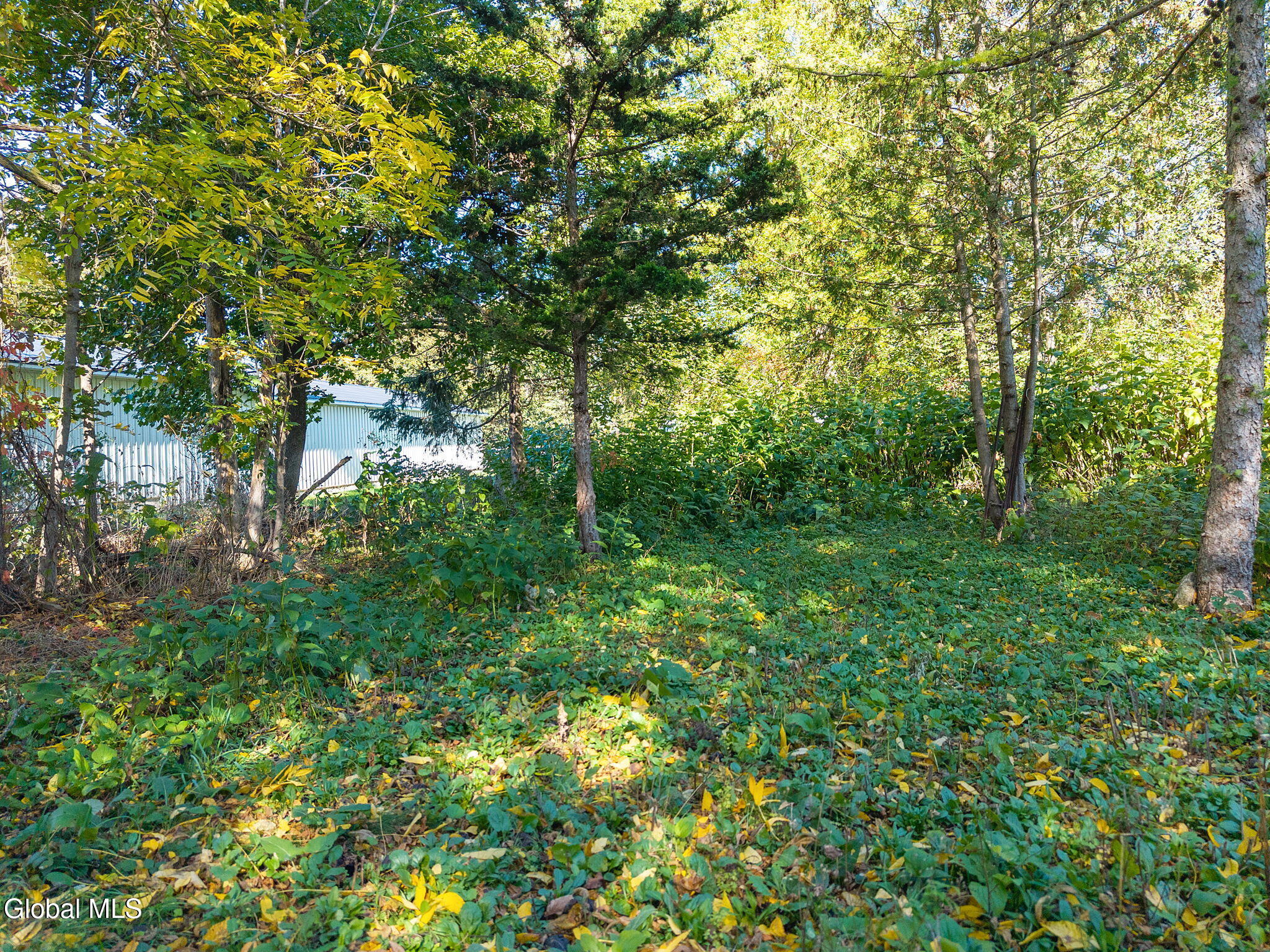 242 North Grand Street Cobleskill, NY 12043 - Photo 53 of 55 55-242NGrandSt_55