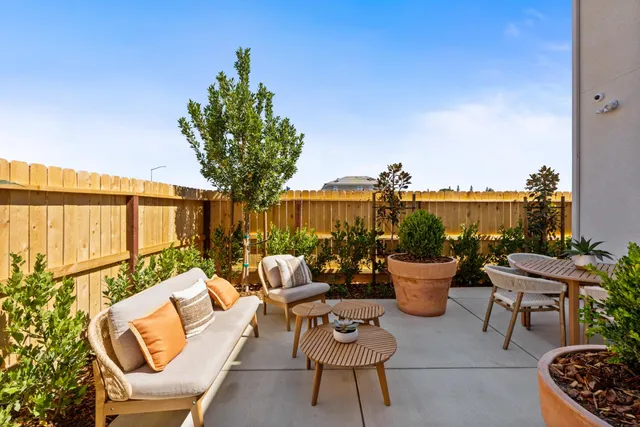 a view of a garden with plants