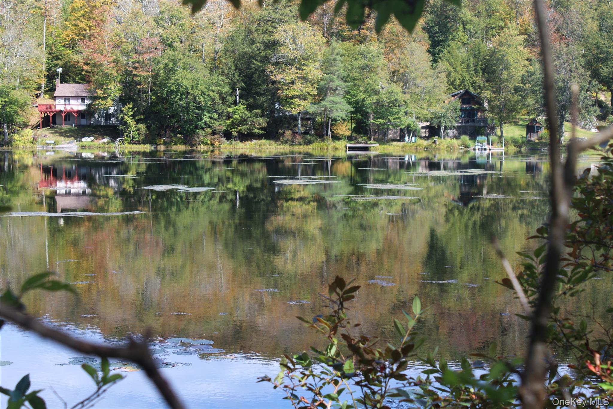 Trout Brook Road Fremont Center, NY 12736 - Photo 2 of 17 a view of lake