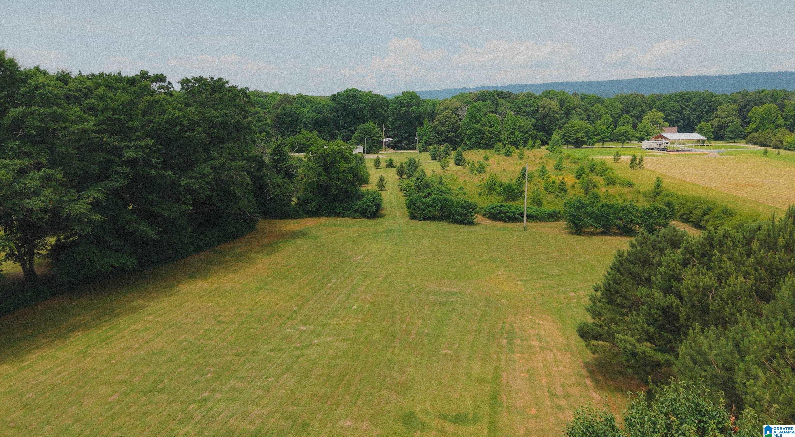 544 Fann Road Steele, AL 35987 - Photo 77 of 84