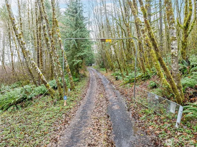 a close up of a plant in a garden
