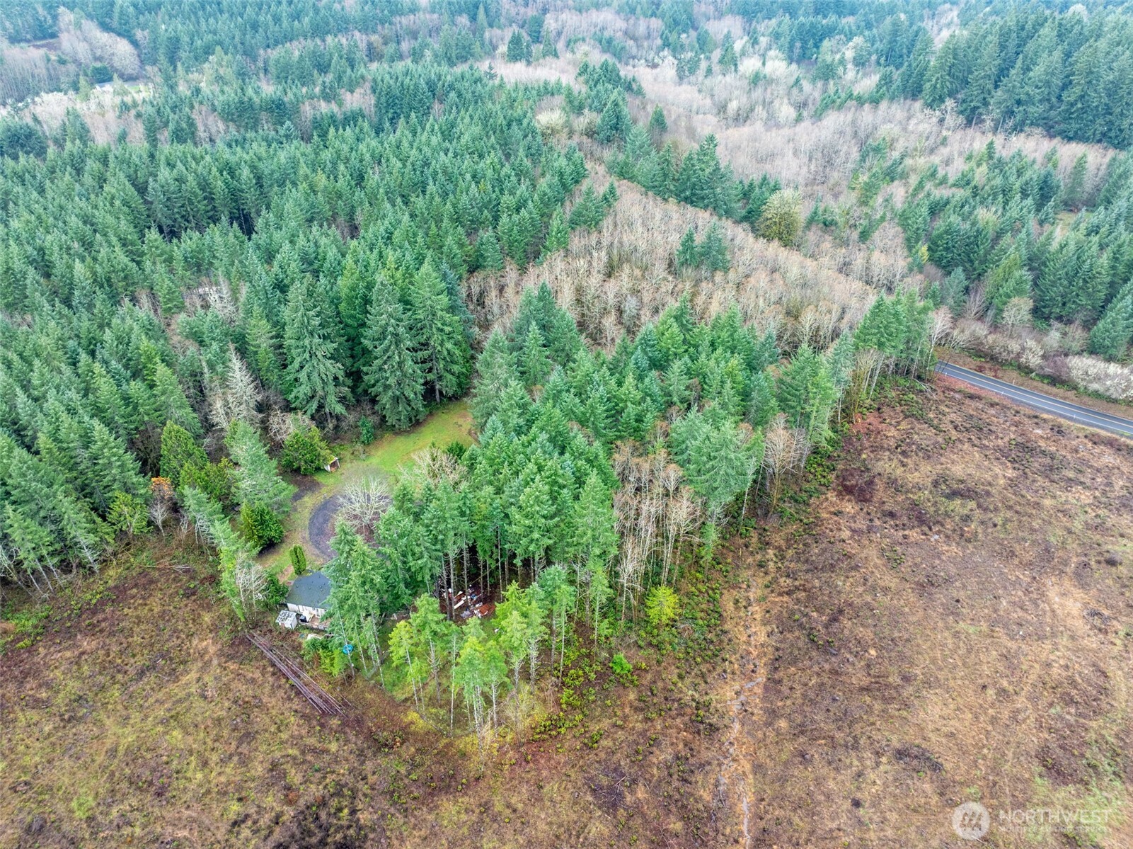 143 Berry Road Chehalis, WA 98532 - Photo 12 of 13 a view of a large yard with lots of trees