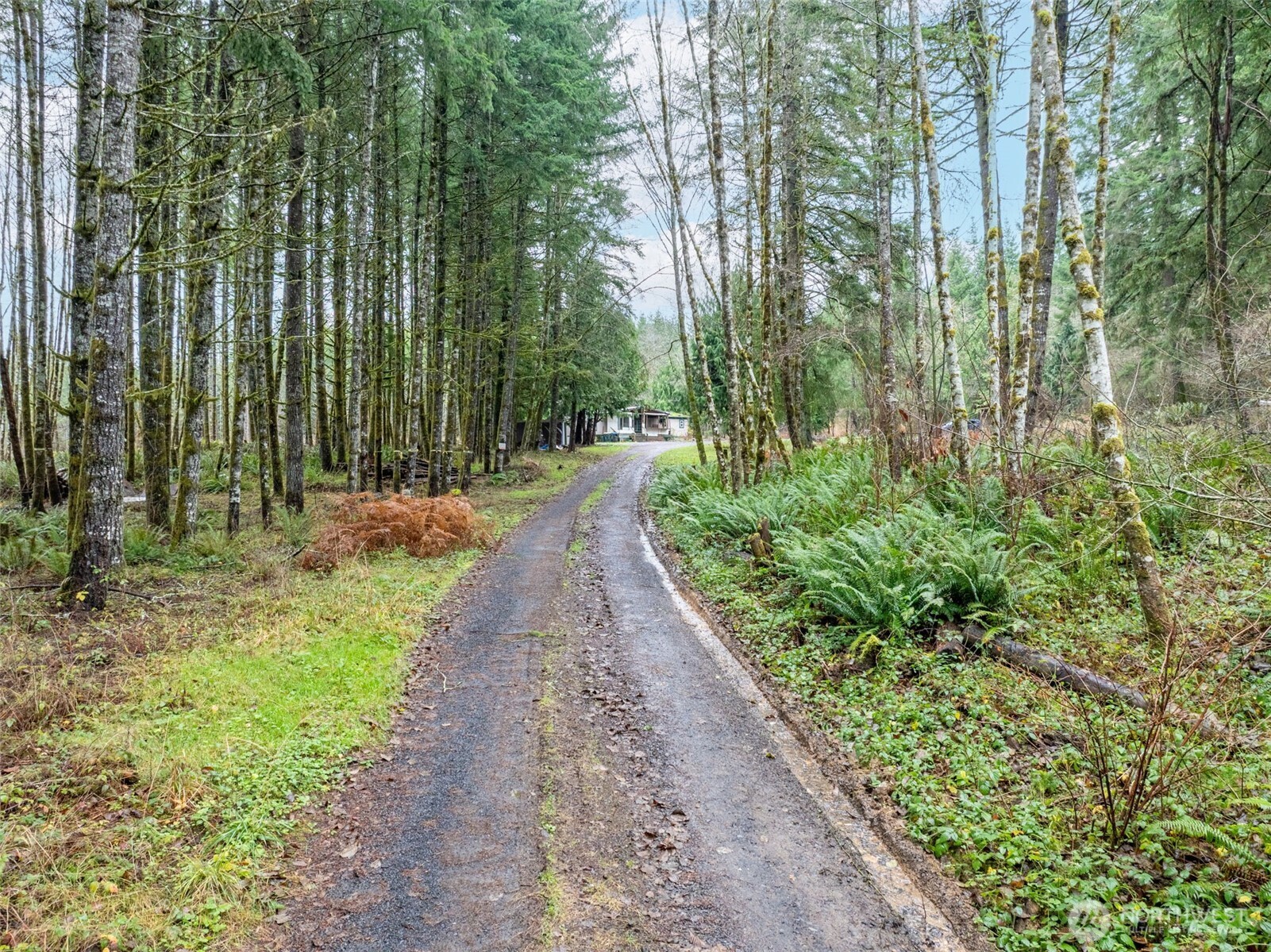 143 Berry Road Chehalis, WA 98532 - Photo 3 of 13 a view of a pathway with a park