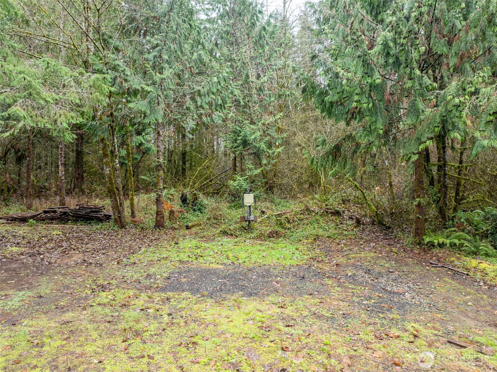 143 Berry Road Chehalis, WA 98532 - Photo 10 of 13 a view of backyard with green space