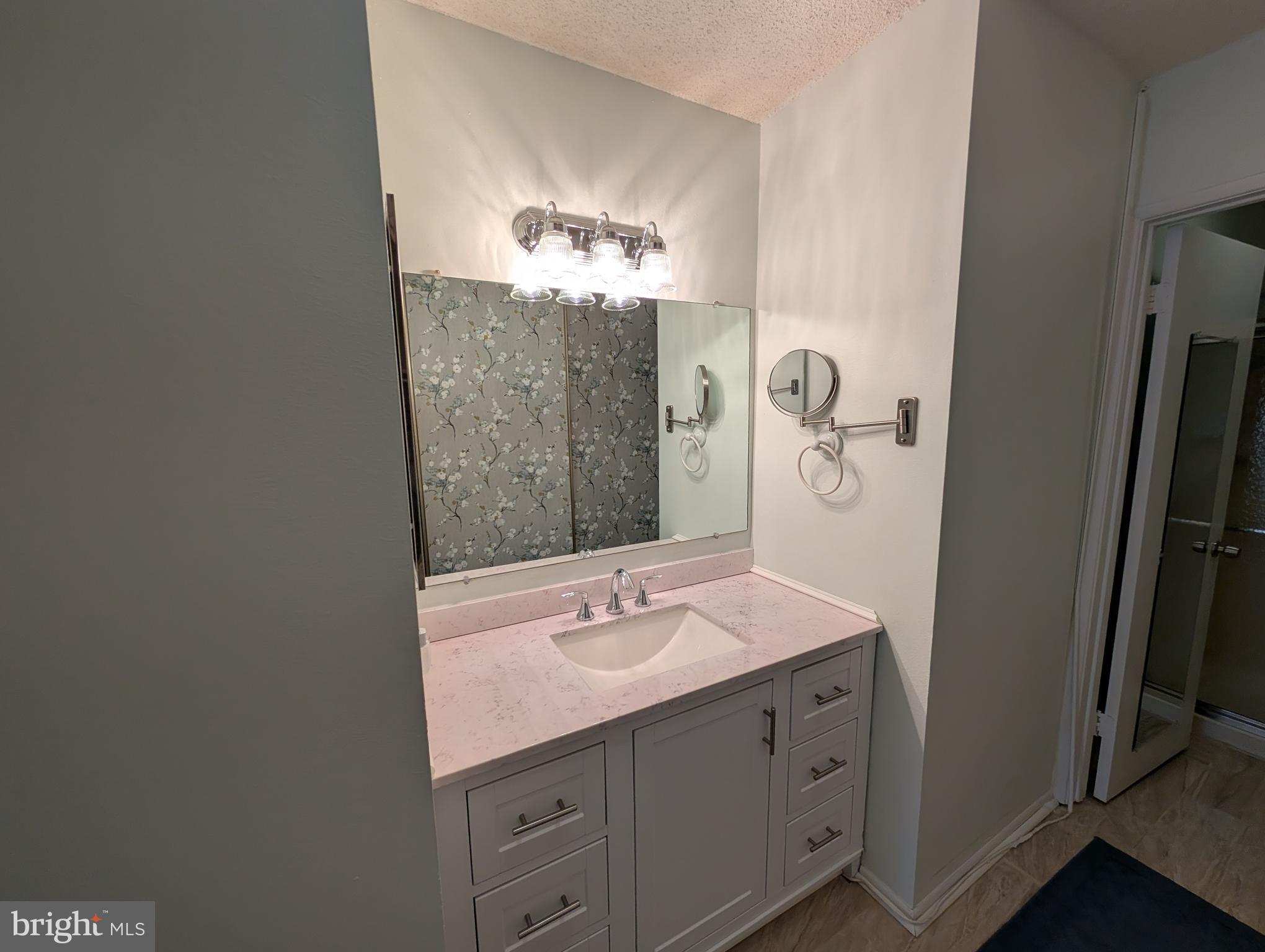 15401 Bassett Lane, Unit 452E Silver Spring, MD 20906 - Photo 14 of 26 a bathroom with a sink and a mirror