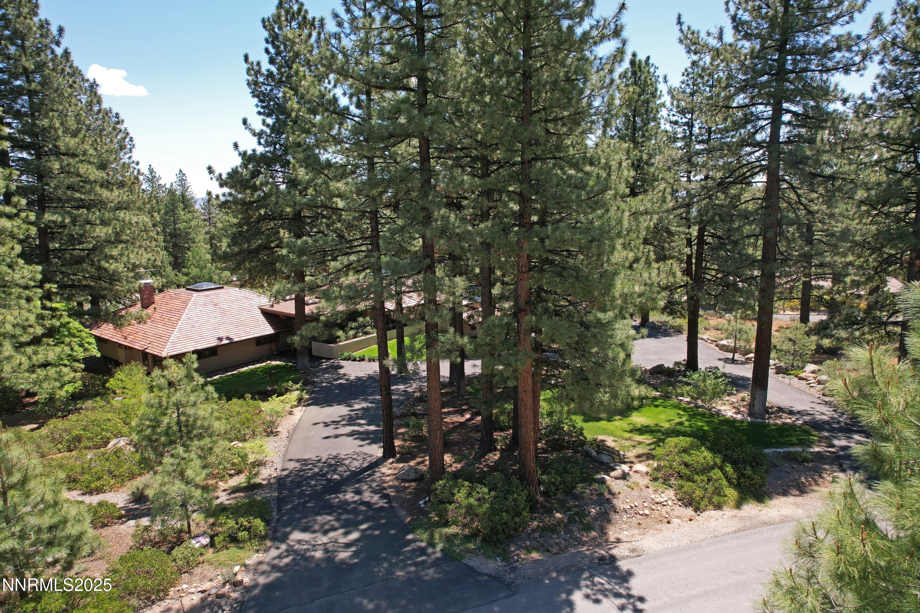 205 Scotch Pine Road Reno, NV 89511 - Photo 4 of 43 DJI_0353